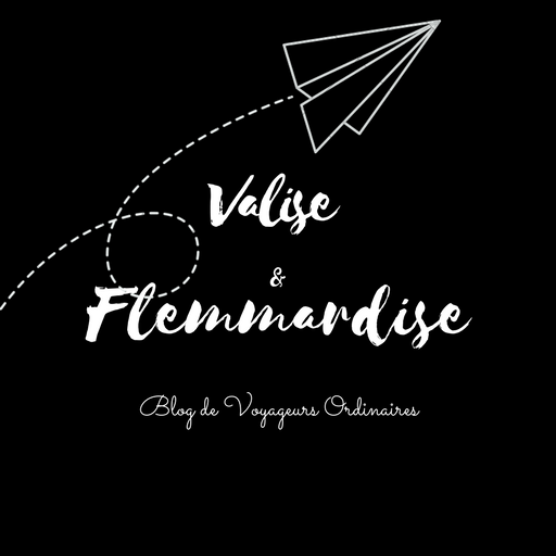 Logo valise et flemmardise
