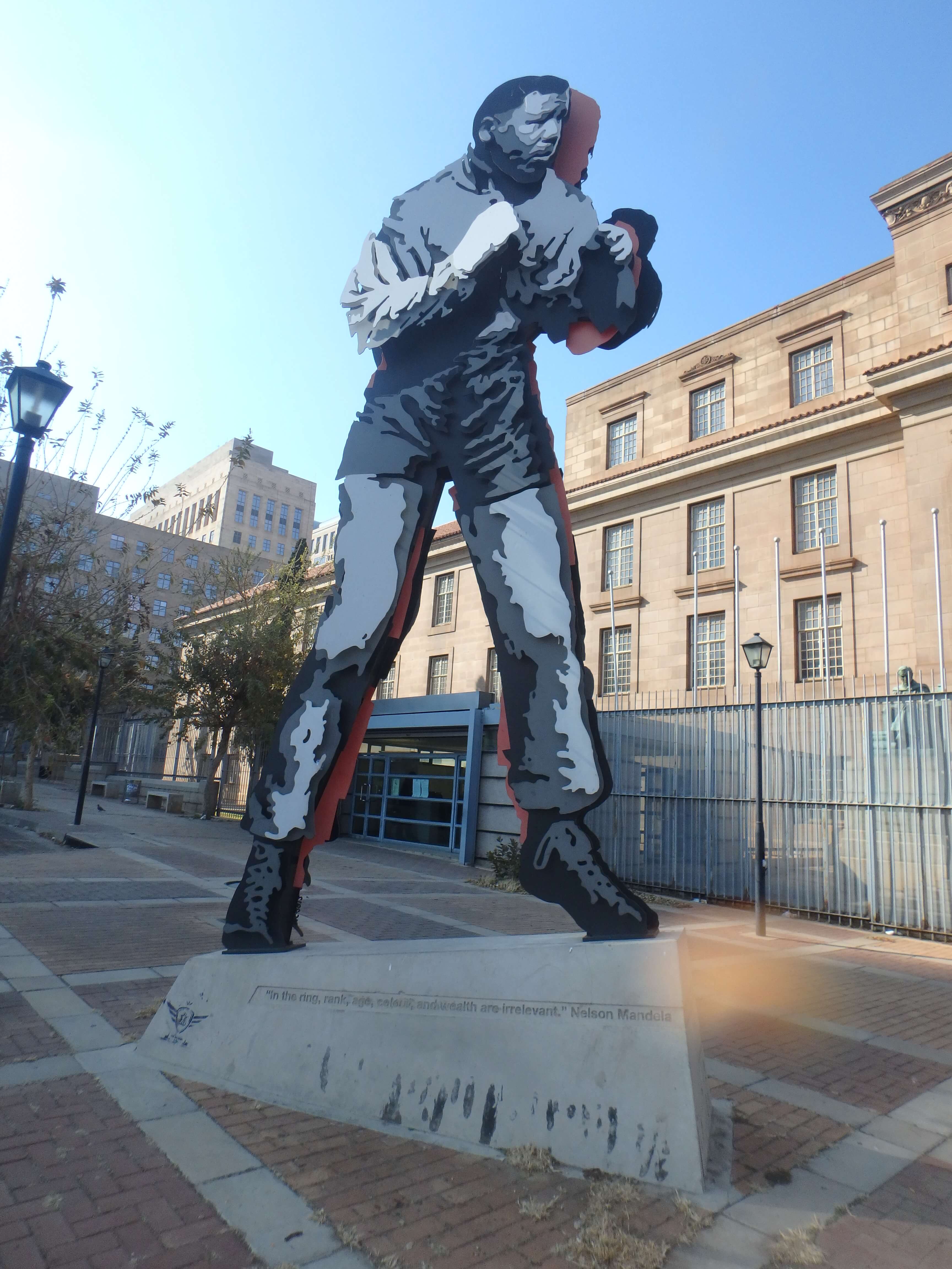 Nelson Mandela, Johannesburg