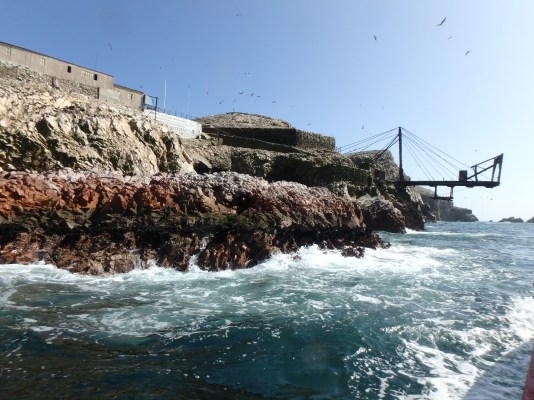 Îles ballets, Paracas, Pérou