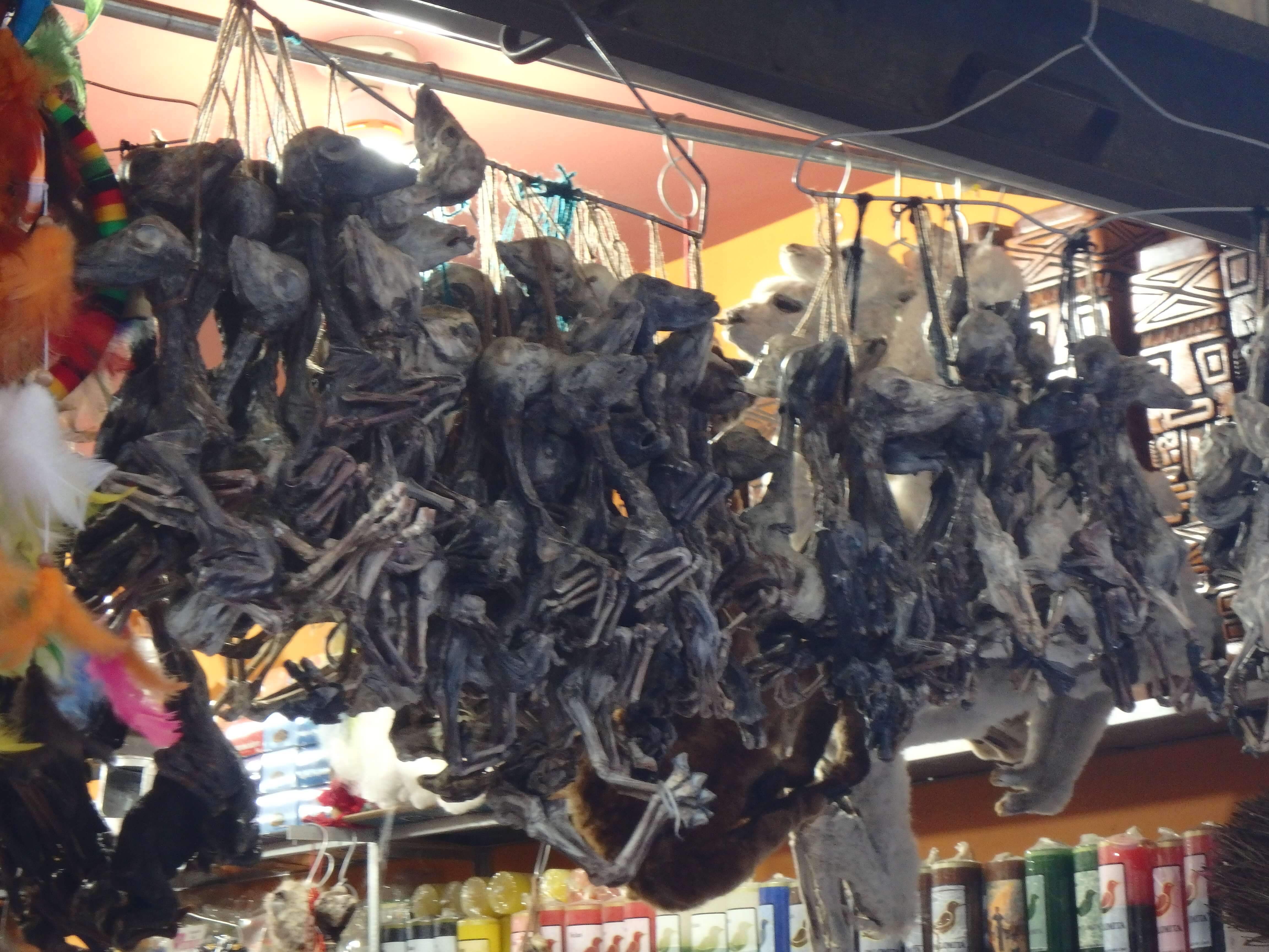 La Paz - mercado de las brujas