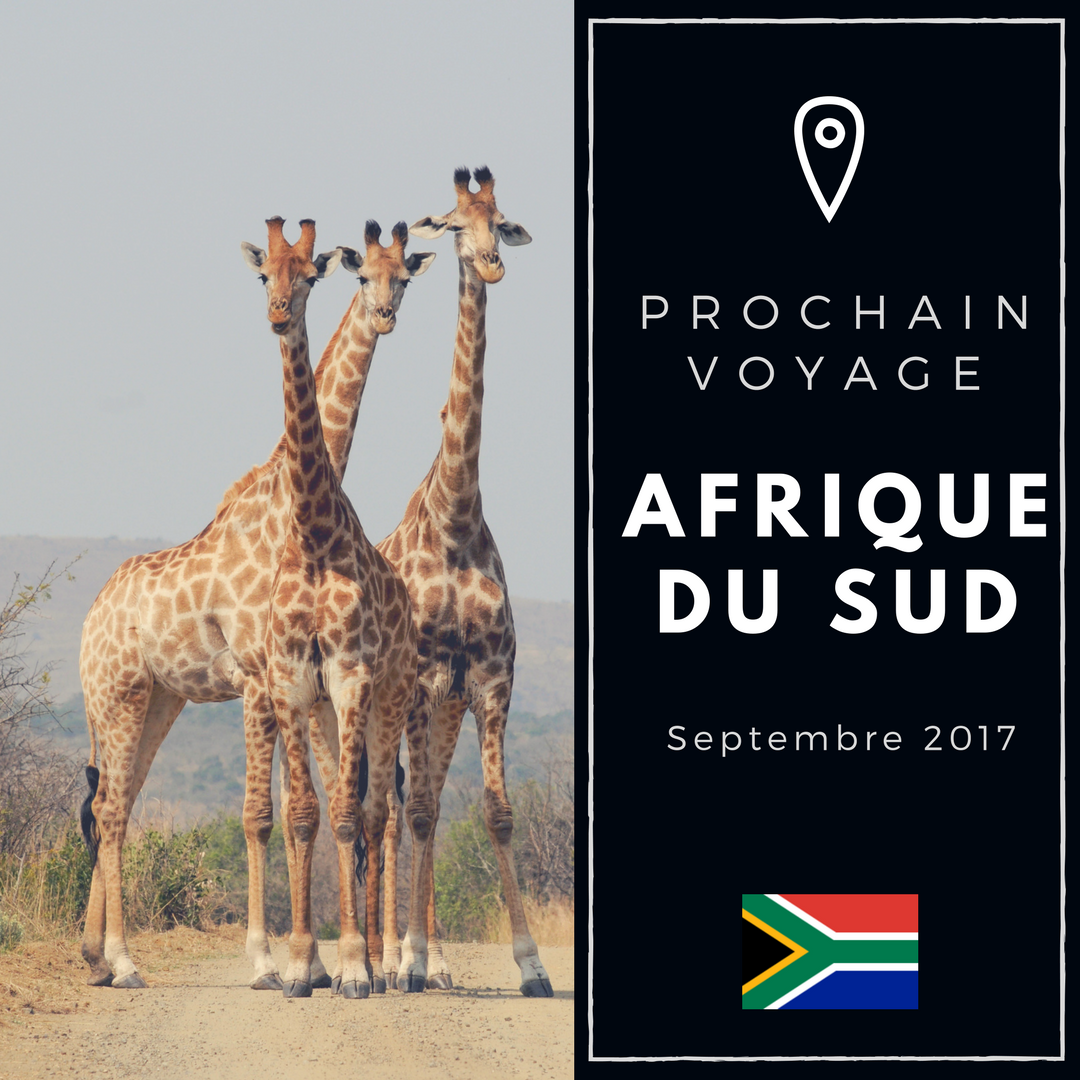 Prochain voyage - Afrique du Sud - carré