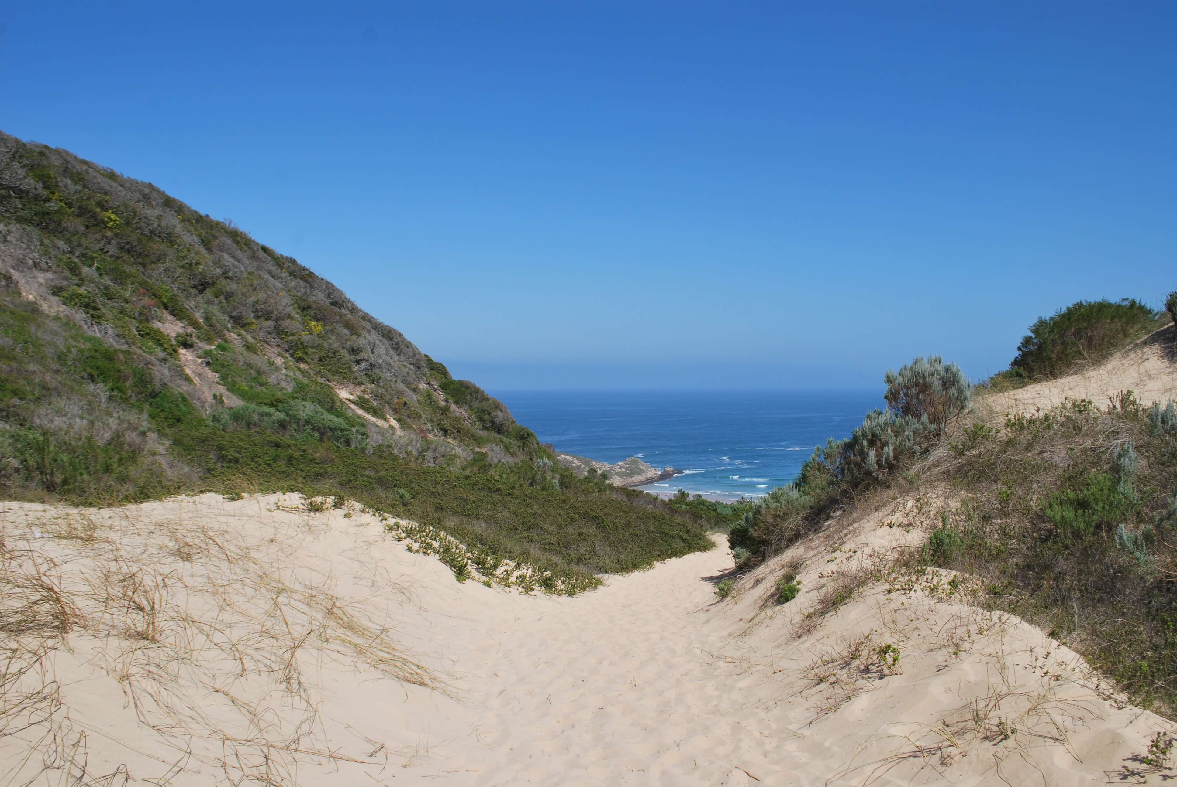 Plage, Robberg Nature Reserve, Knysna