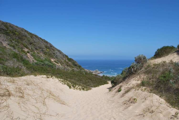 Plage, Robberg Nature Reserve, Knysna