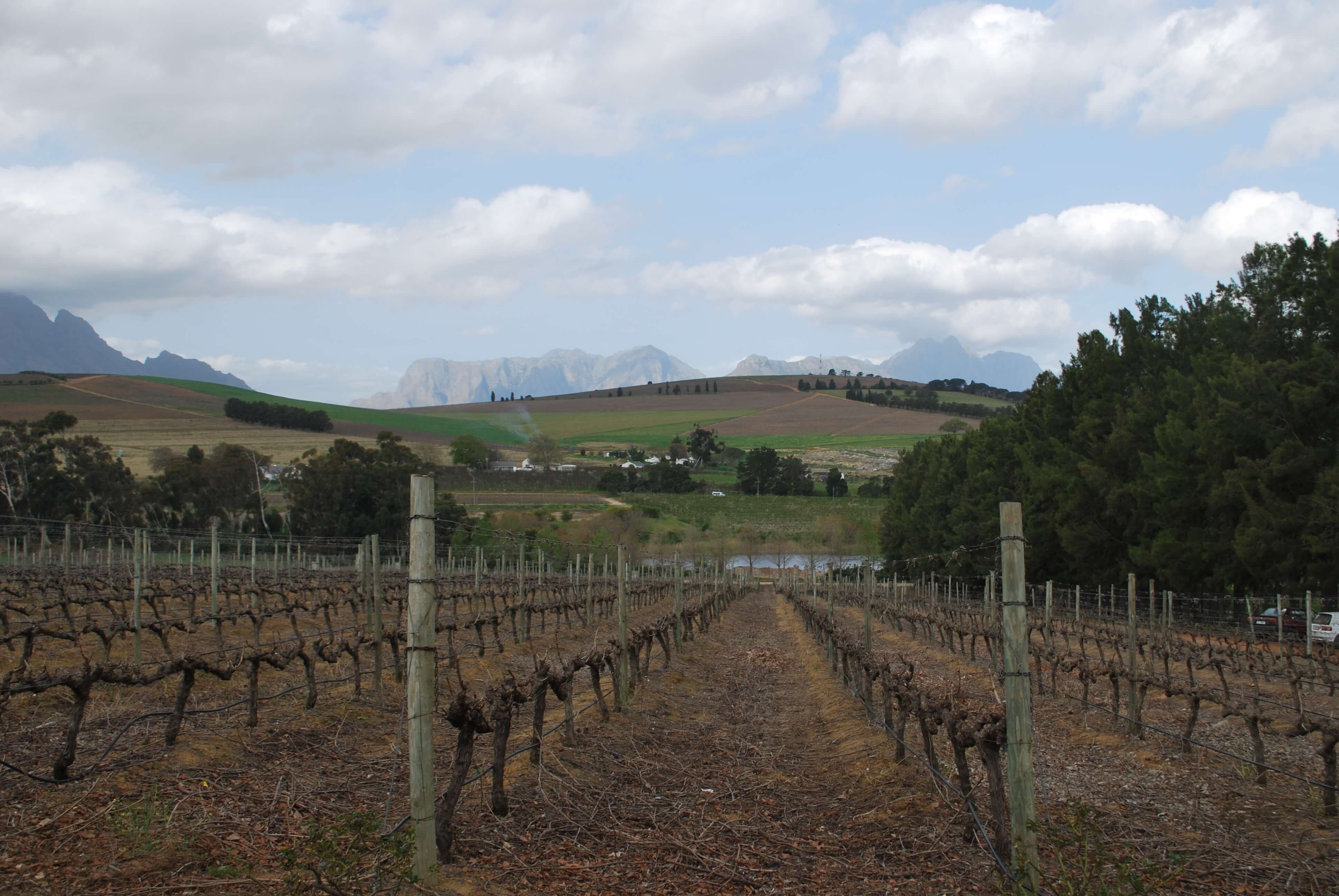 Domaine Clos Malverne, Stellenbosch, Afrique du Sud