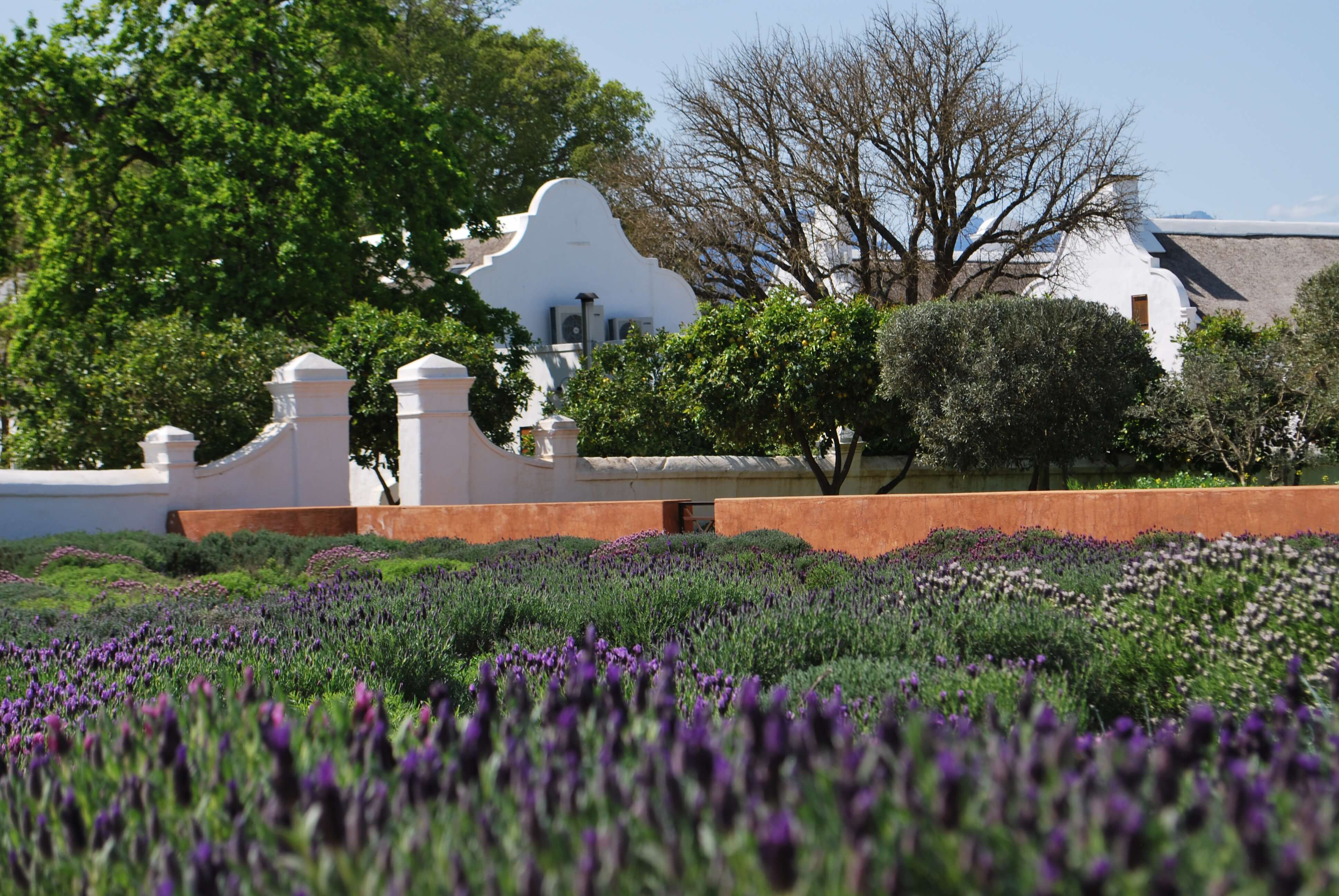 Jardin, Babylonstoren, Afrique du Sud