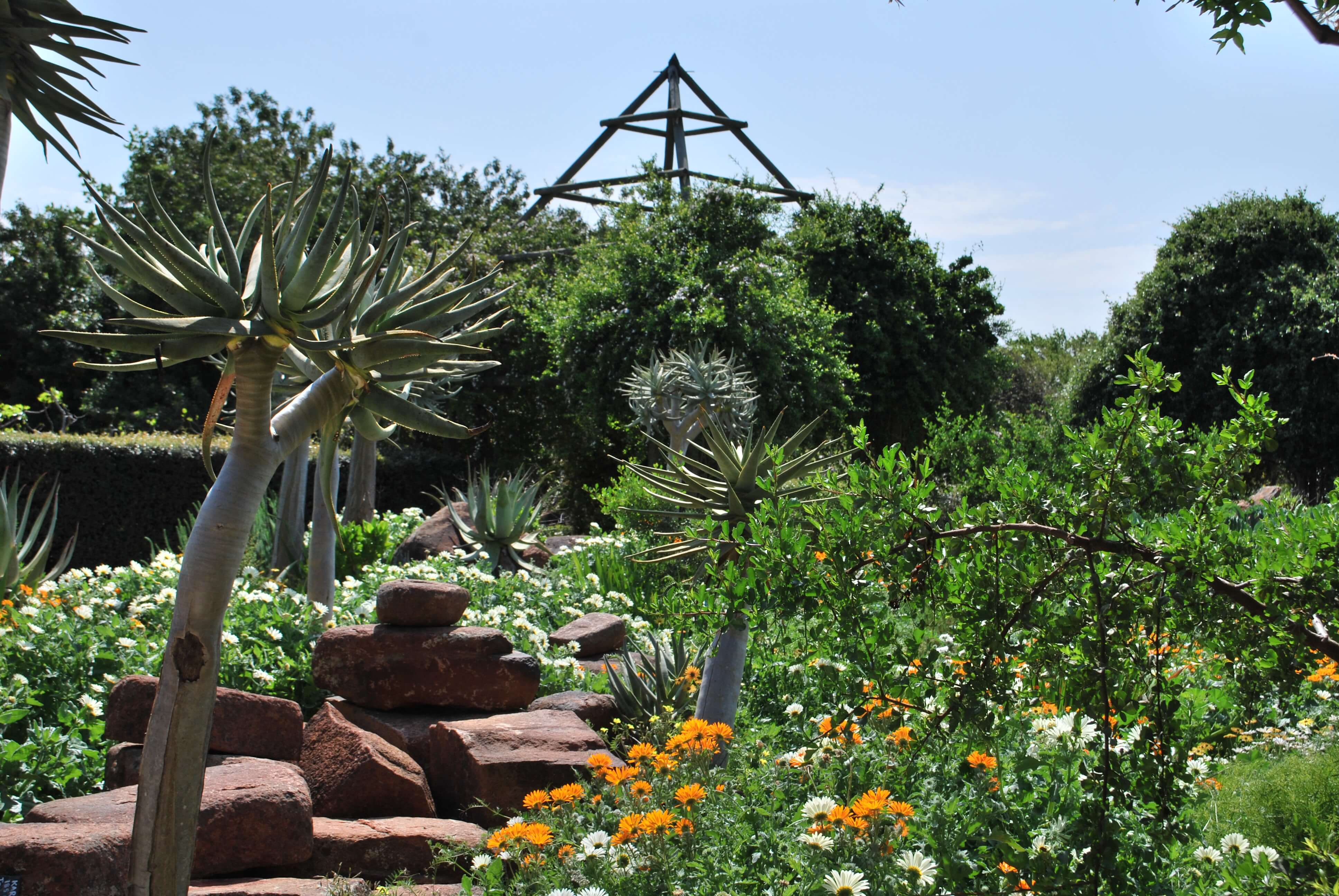 jardin exotique, Babylonstoren, Afrique du Sud
