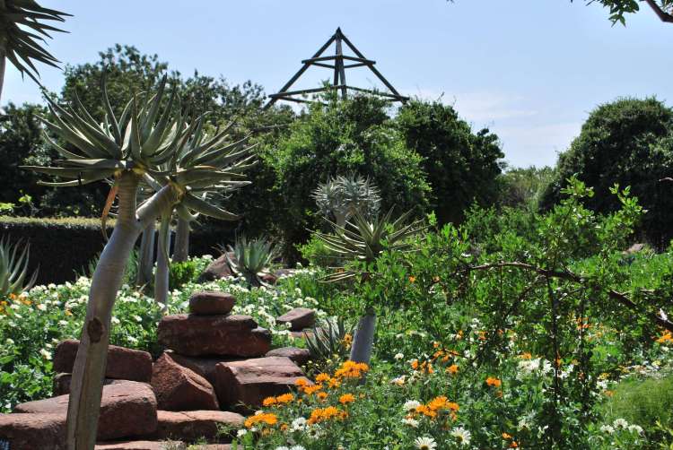 jardin exotique, Babylonstoren, Afrique du Sud
