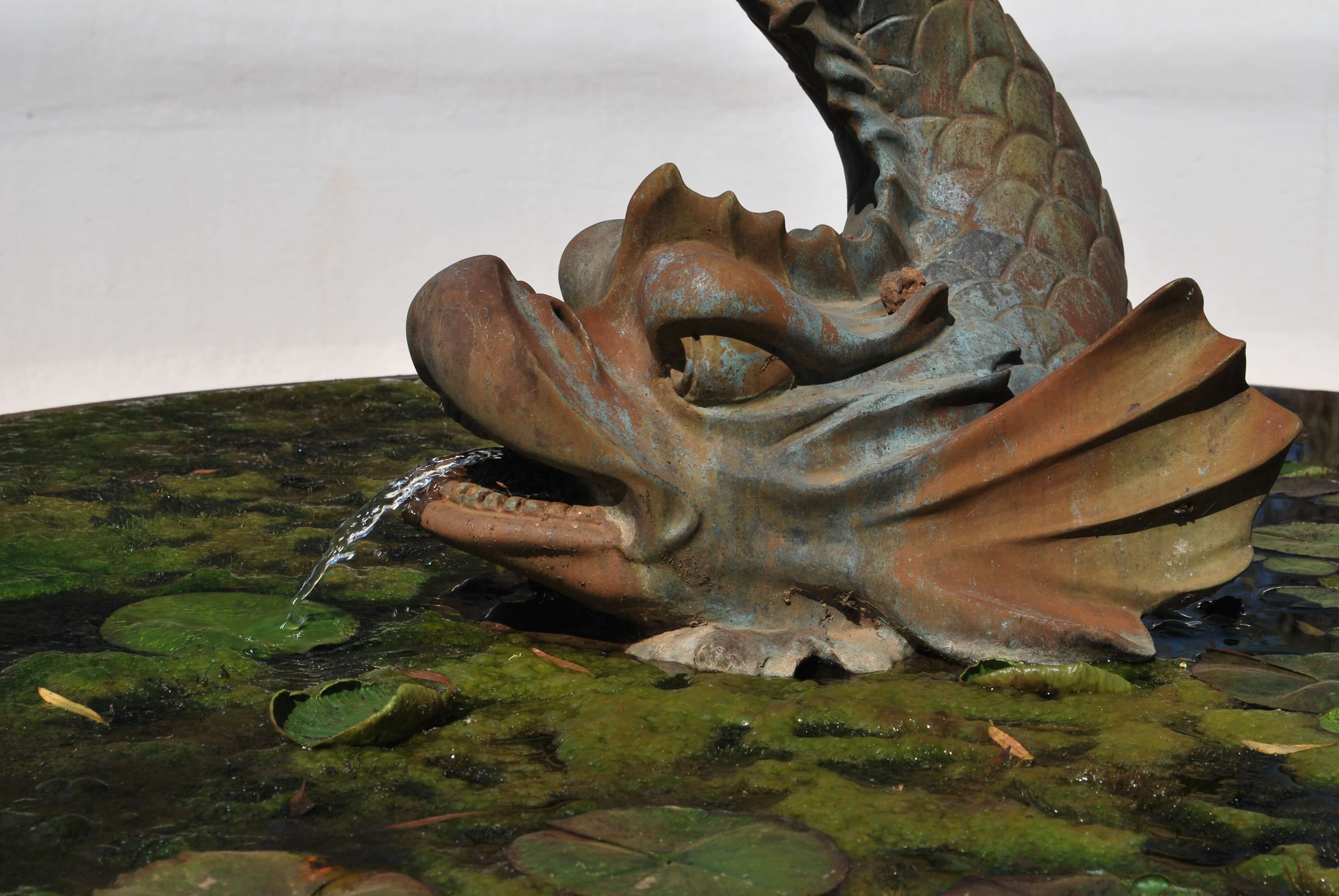 Fontaine, Babylonstoren, Afrique du Sud