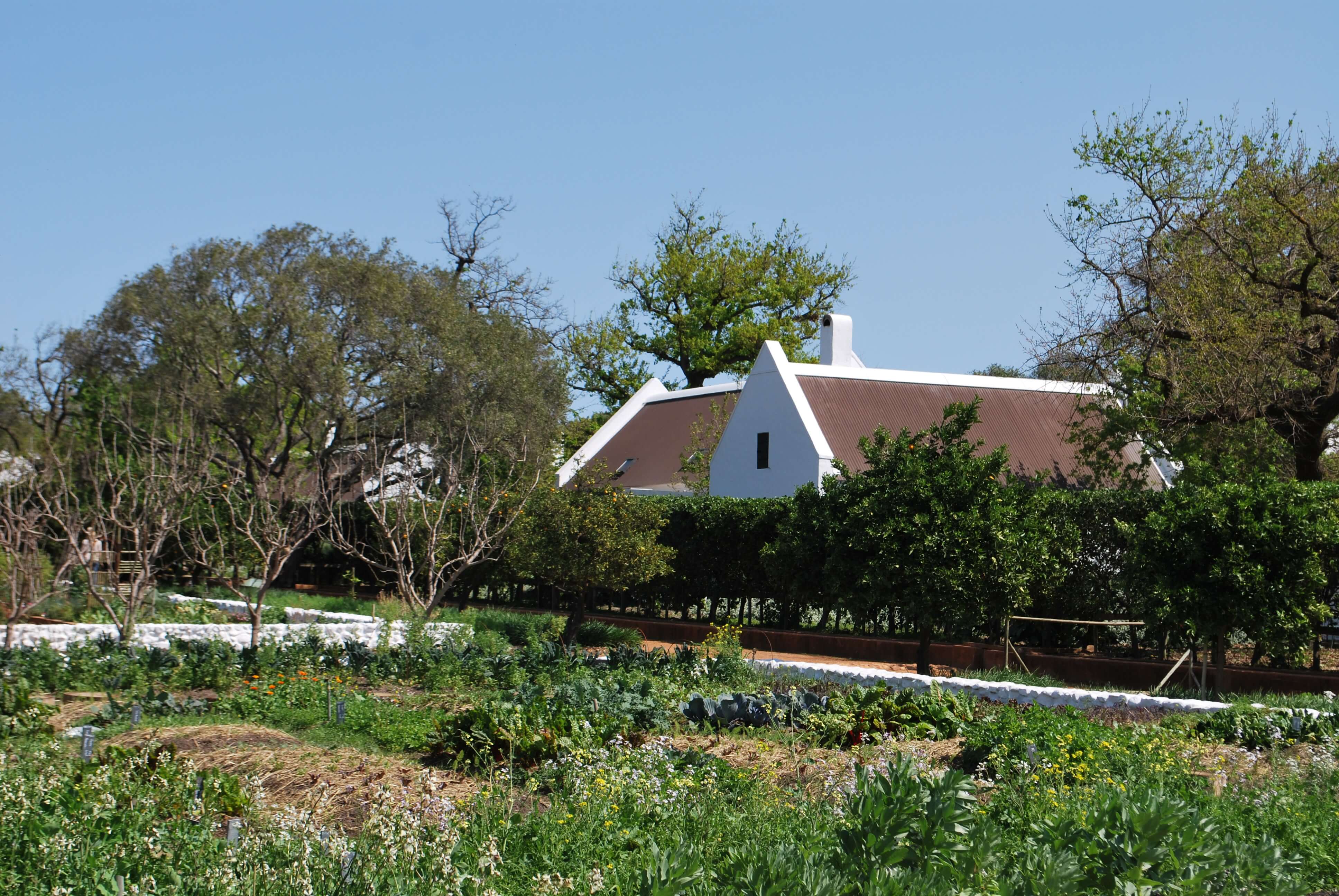 Potager, Babylonstoren, Afrique du Sud