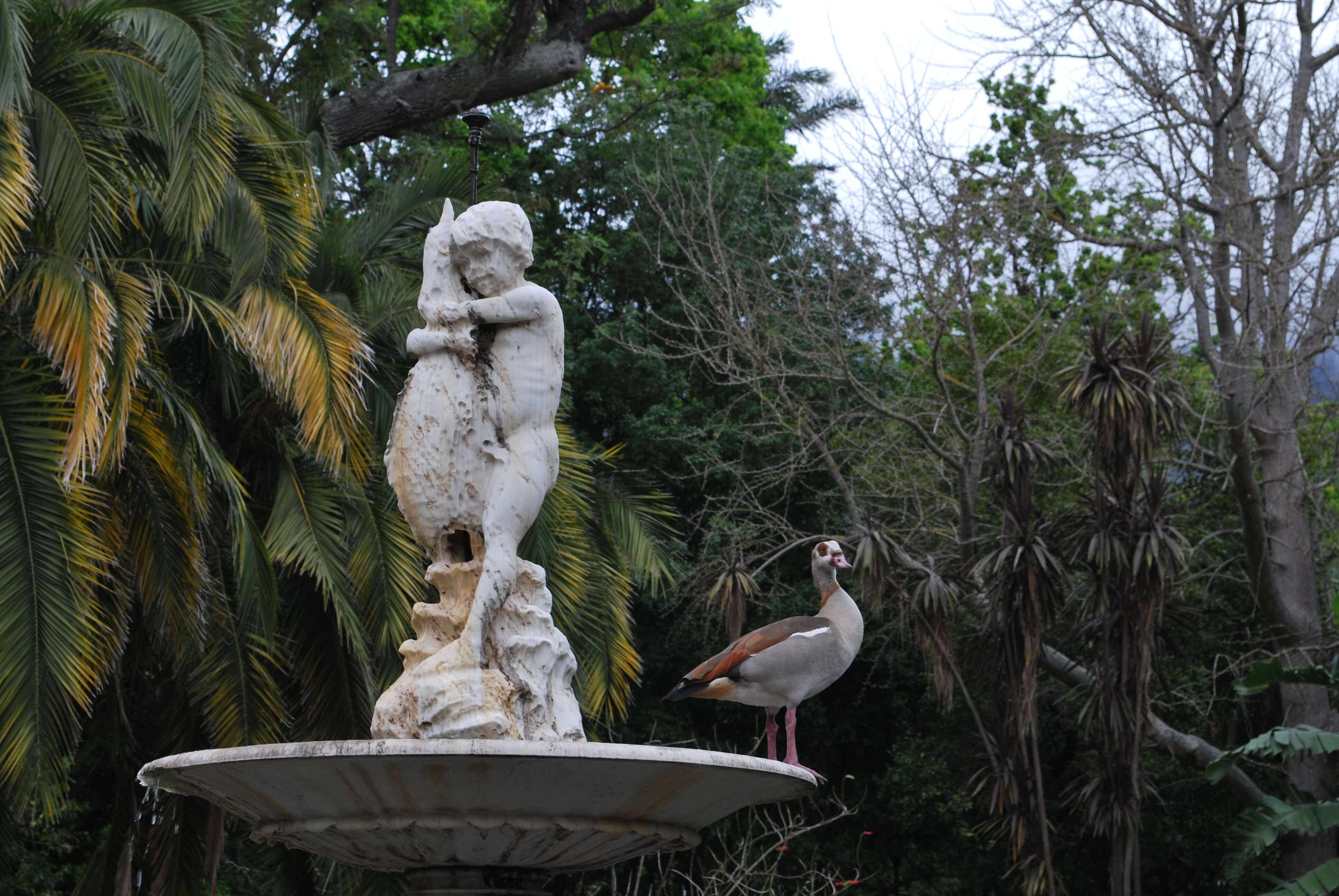 Fontaine company garden, Cape Town, Afrique du Sud
