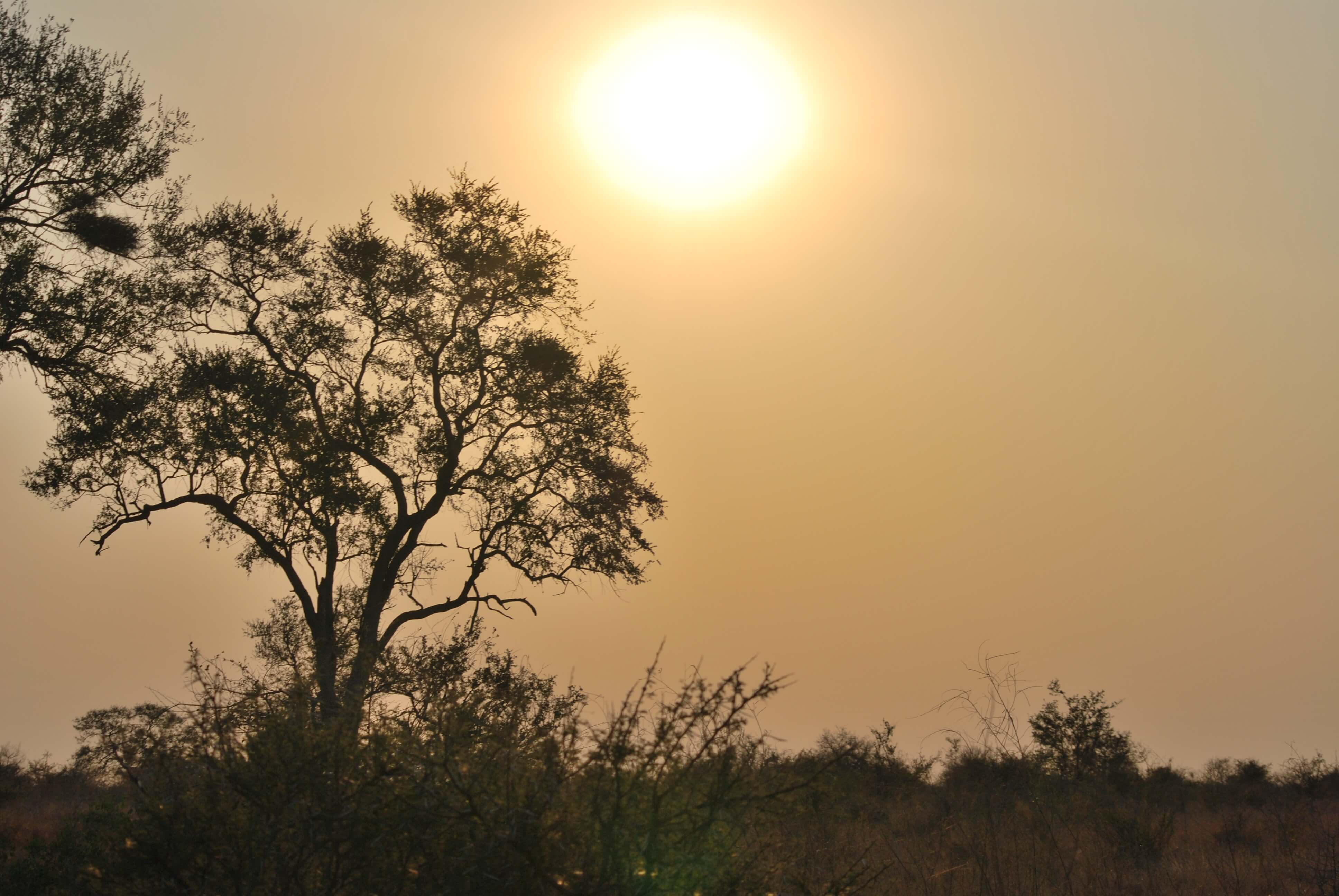 Coucher de soleil, Parc Kruger, Afrique du Sud