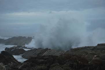 Océan, Tsitsikamma National Park, Afrique du Sud