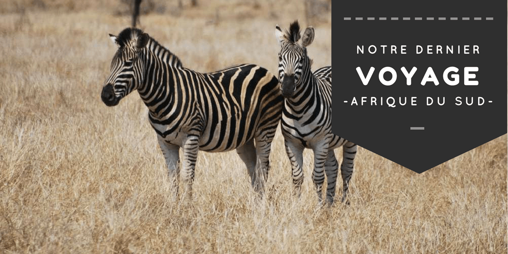 Notre dernier voyage en Afrique du Sud