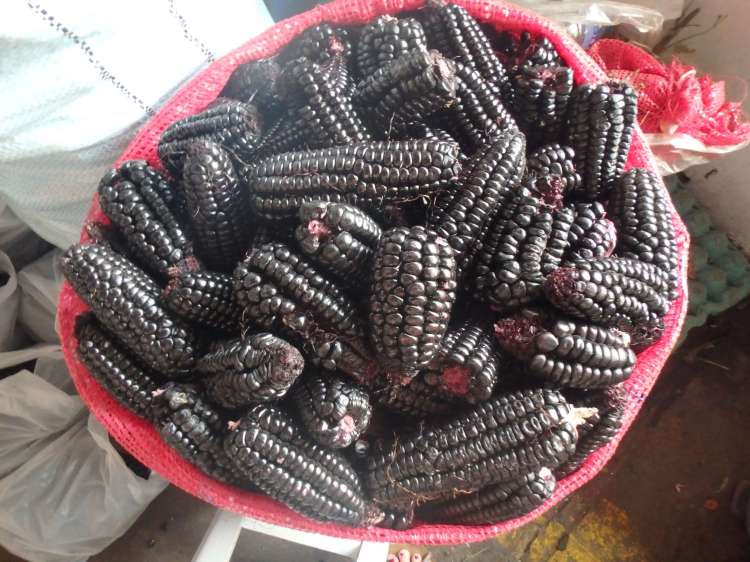 Maïs violet, Marché San Pedro, Cusco, Pérou