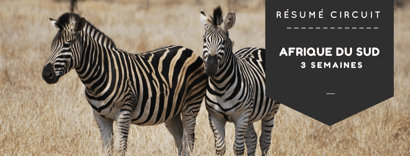 Circuit 3 semaines Afrique du Sud