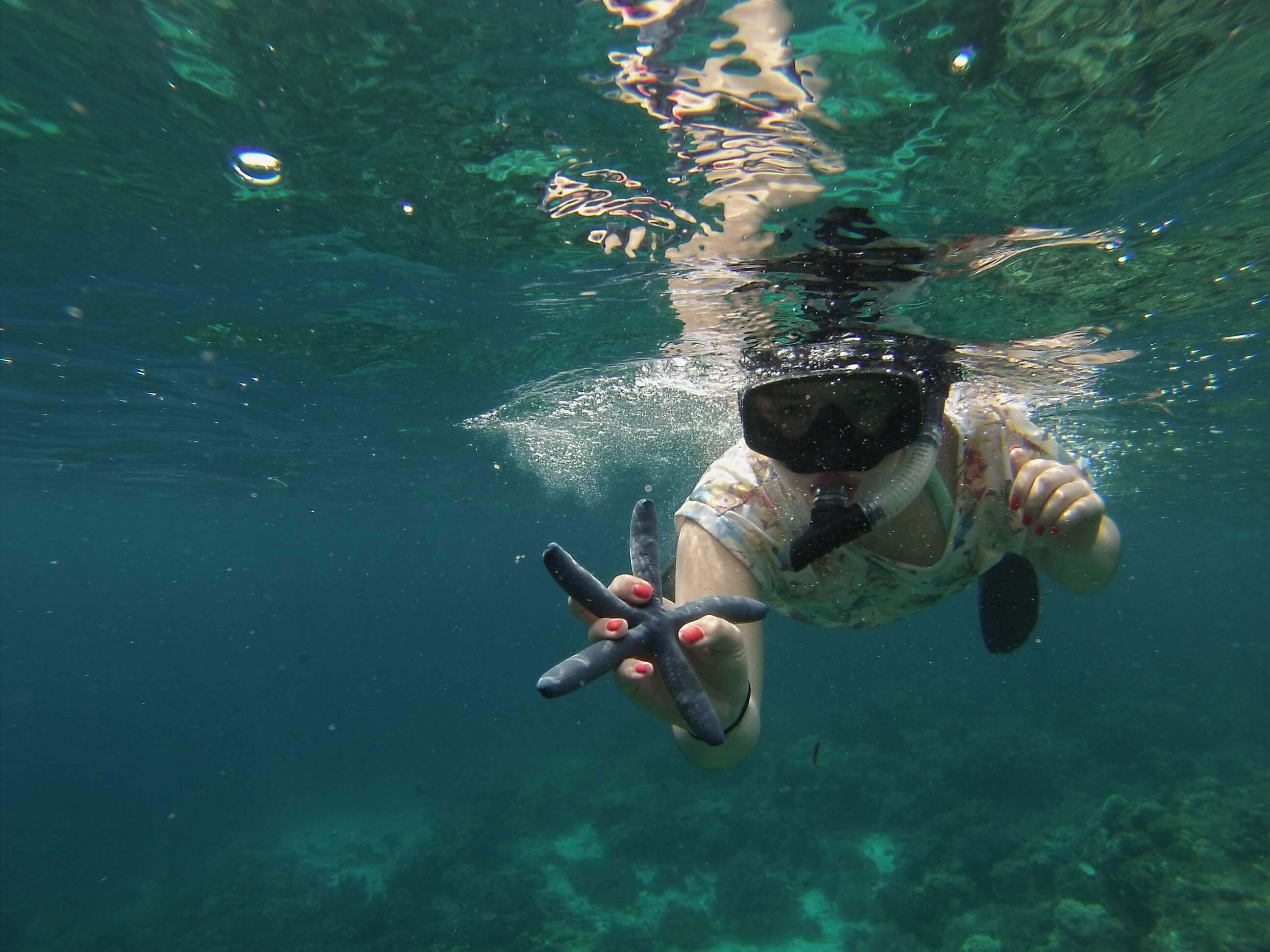 Etoile de mer, Mejangan, Bali