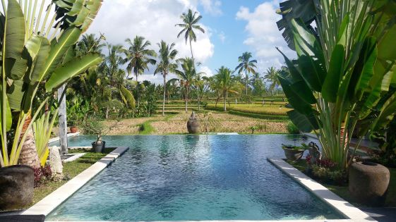 FullSizeRender-compressor