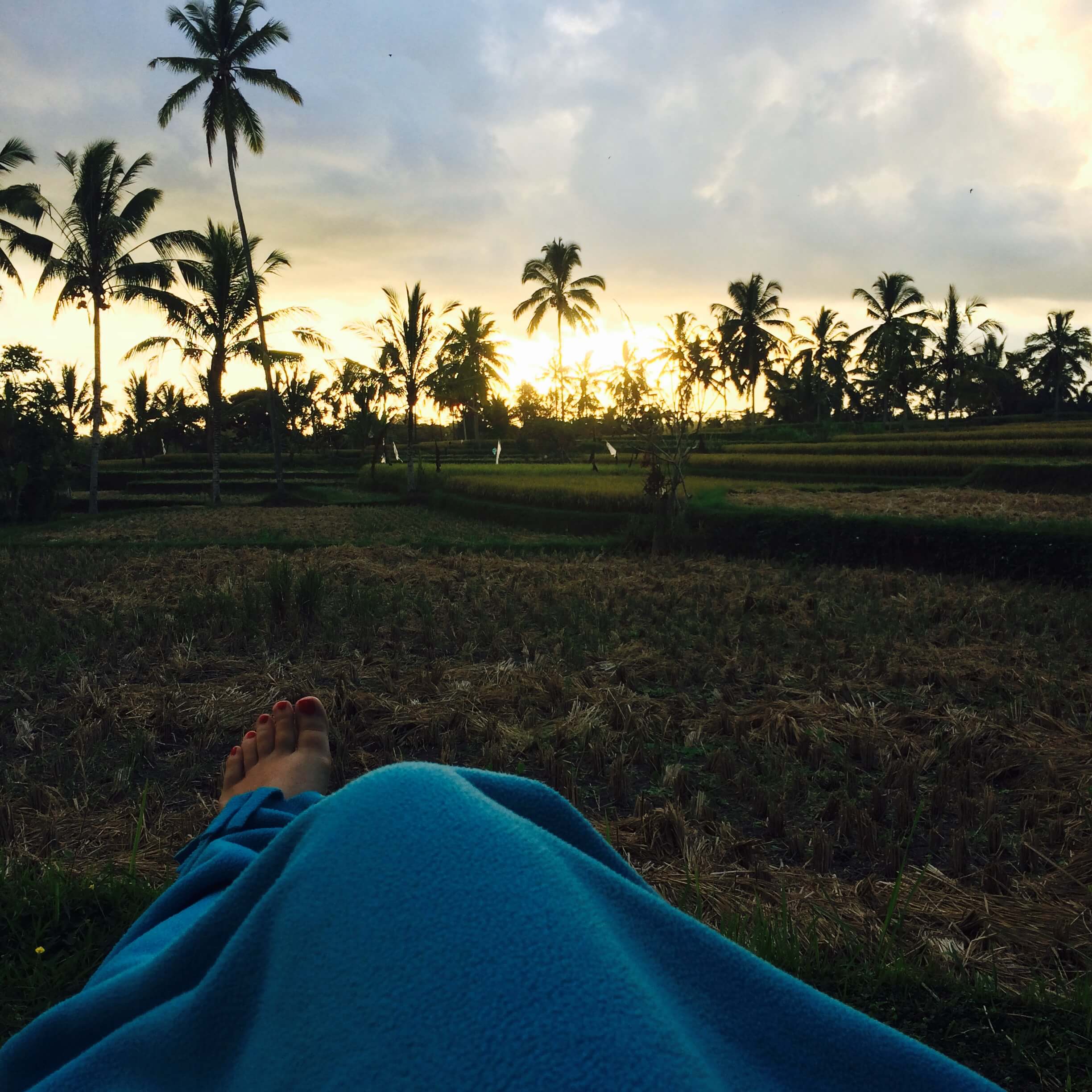 Coucher de soleil sur les rizières, Ubud, Bali