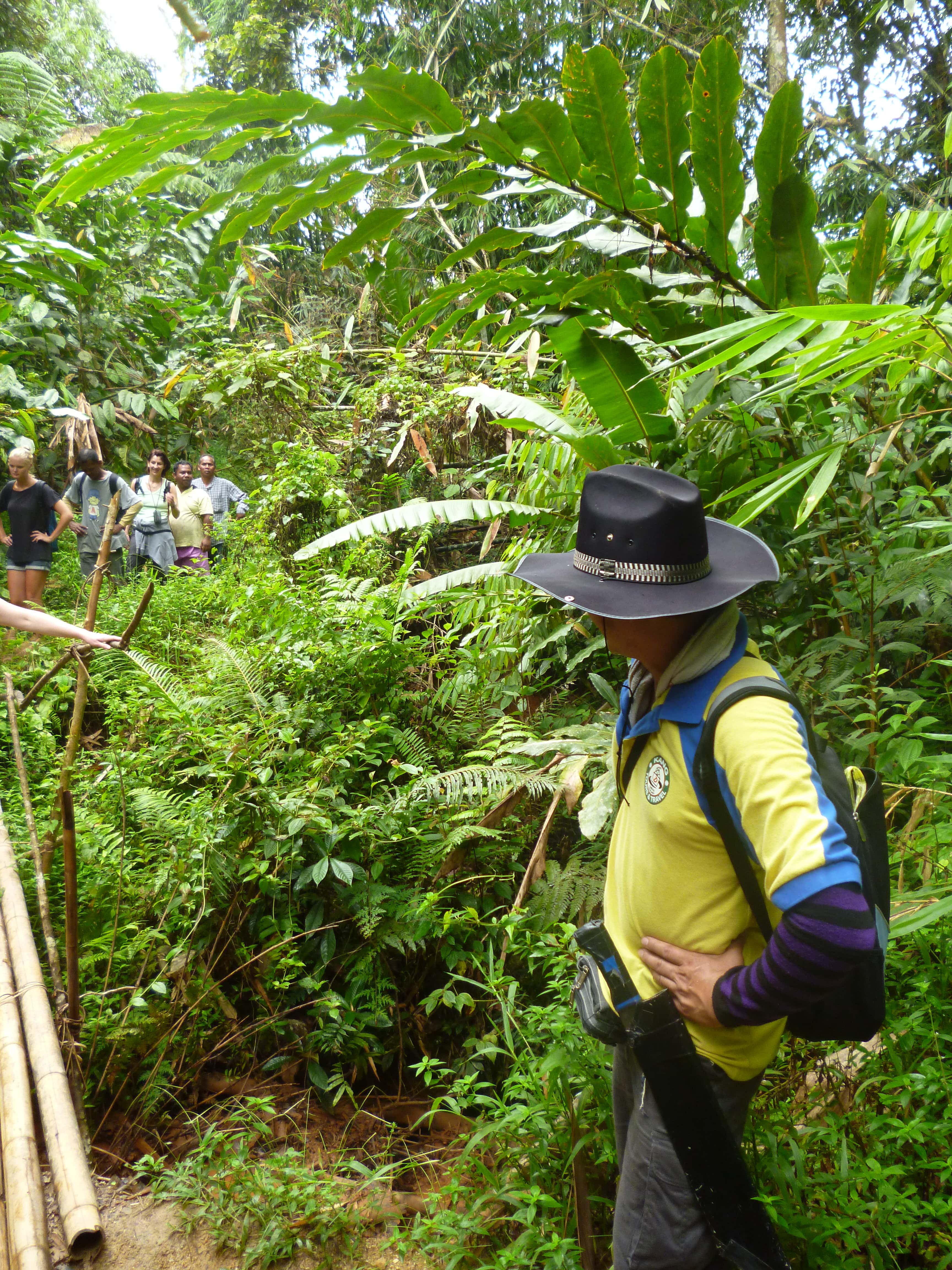 Randonnée guidée, Cameron Highlands, Malaisie
