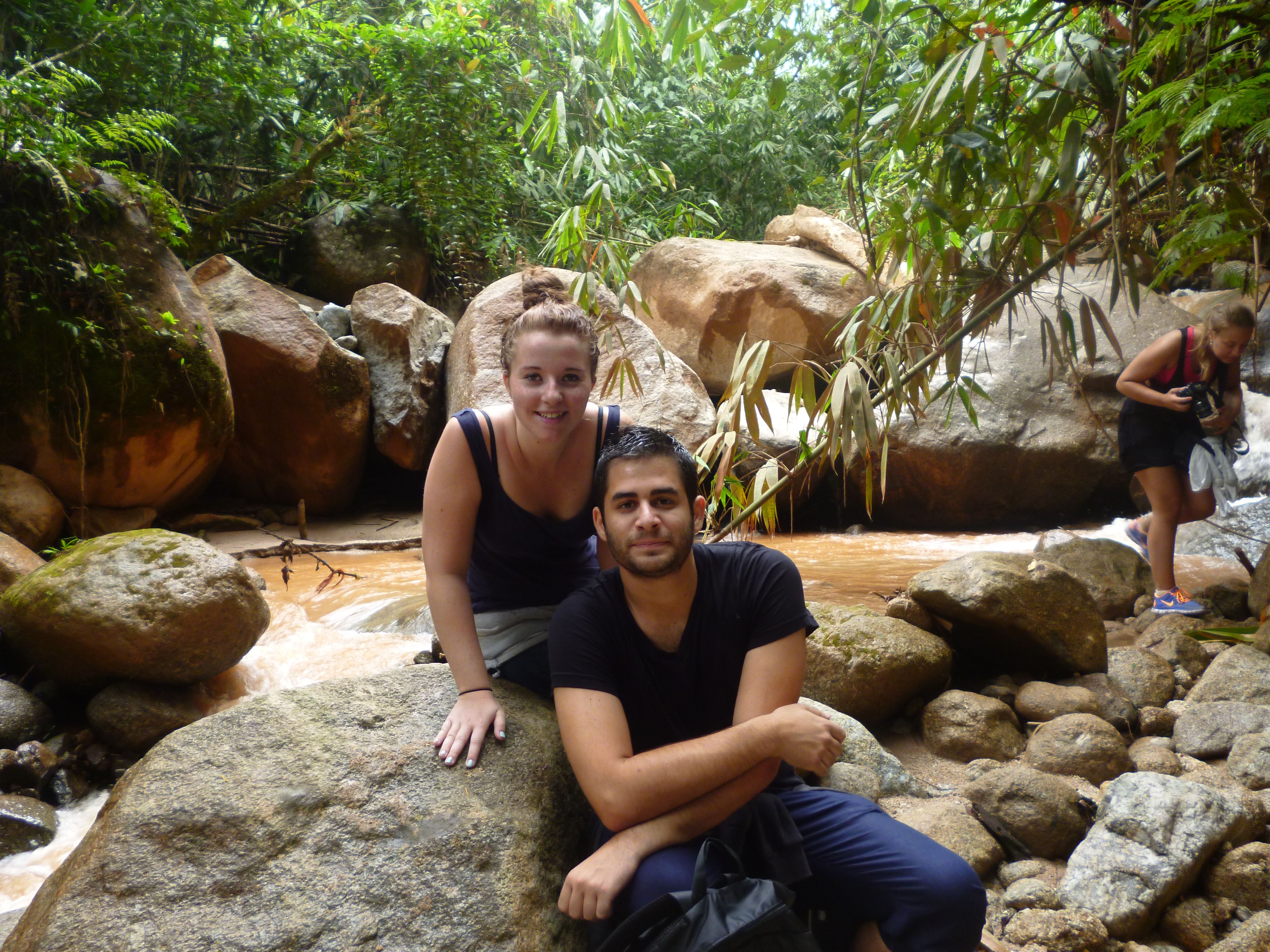 Forêt tropicale, Cameron Highlands, Malaisie