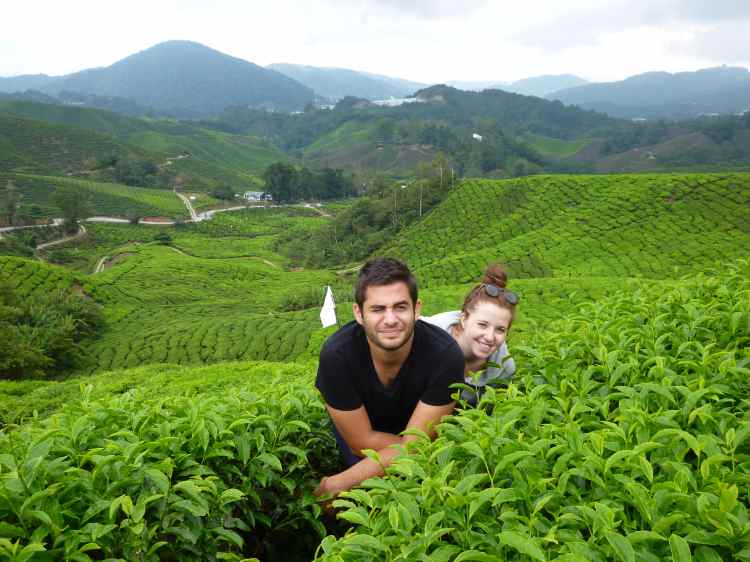 Visite des Cameron Highlands, Malaisie