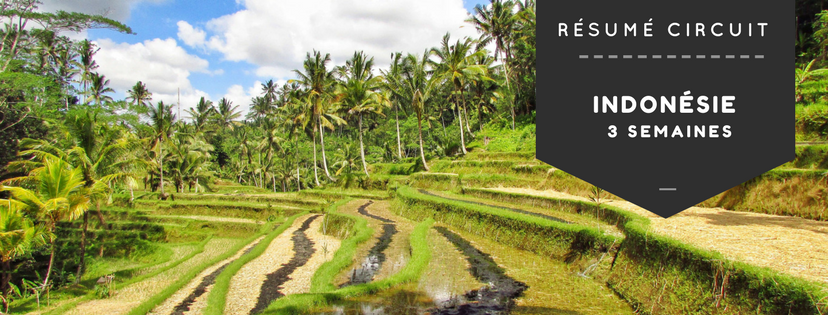 Circuit Indonésie