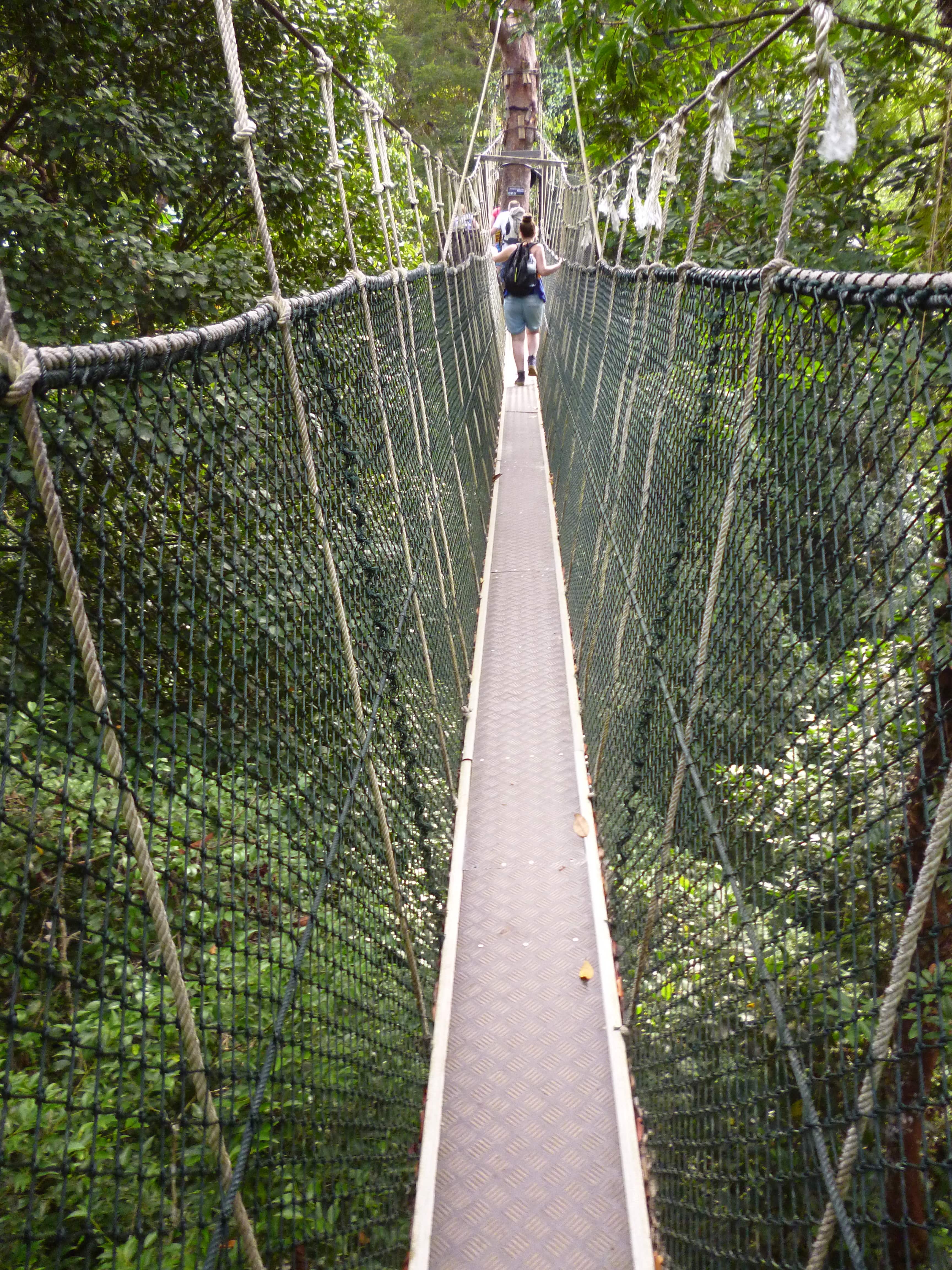 Pont suspendu, Taman Negara, Malaisie