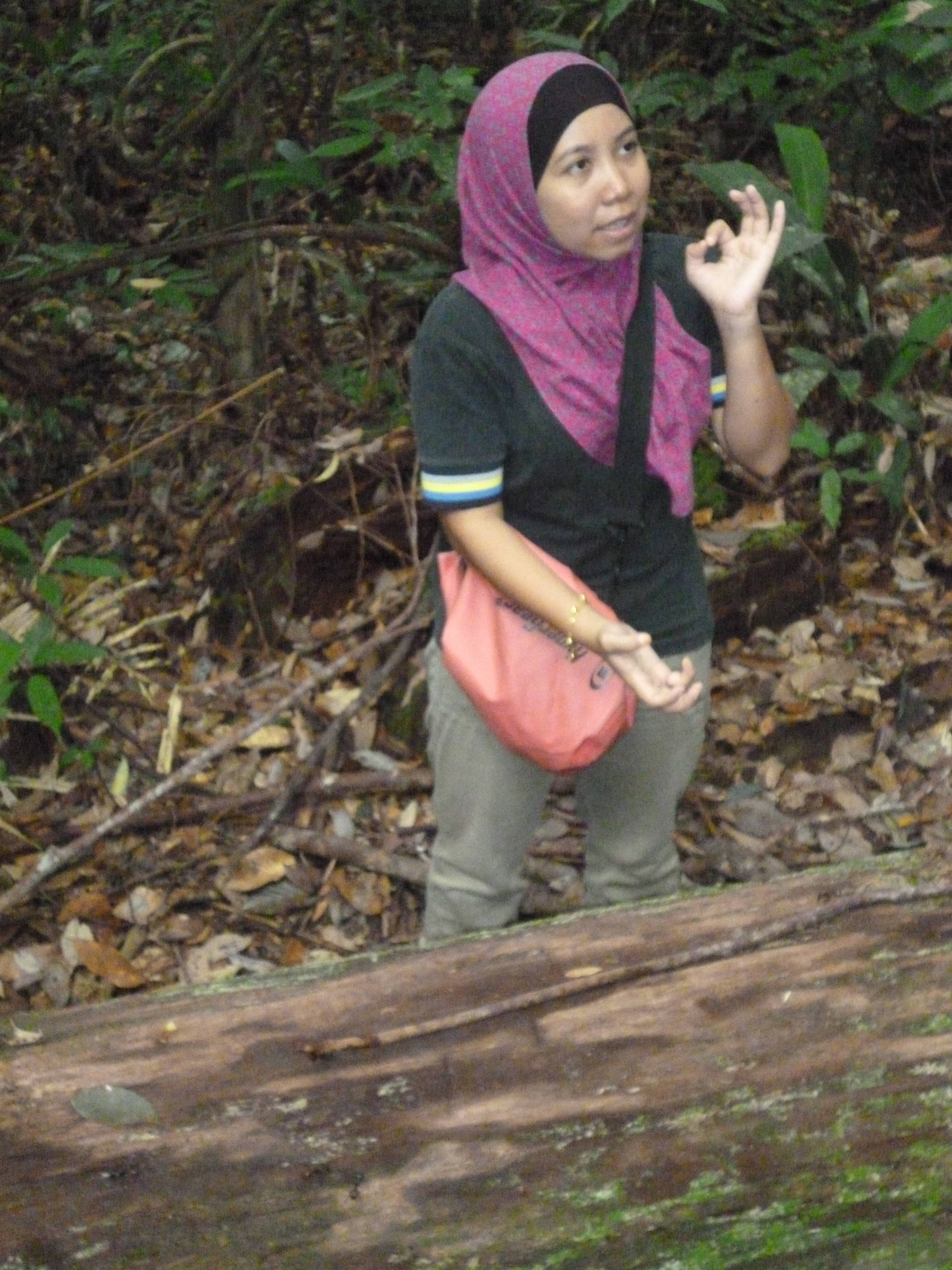 Guide, Taman Negara, Malaisie
