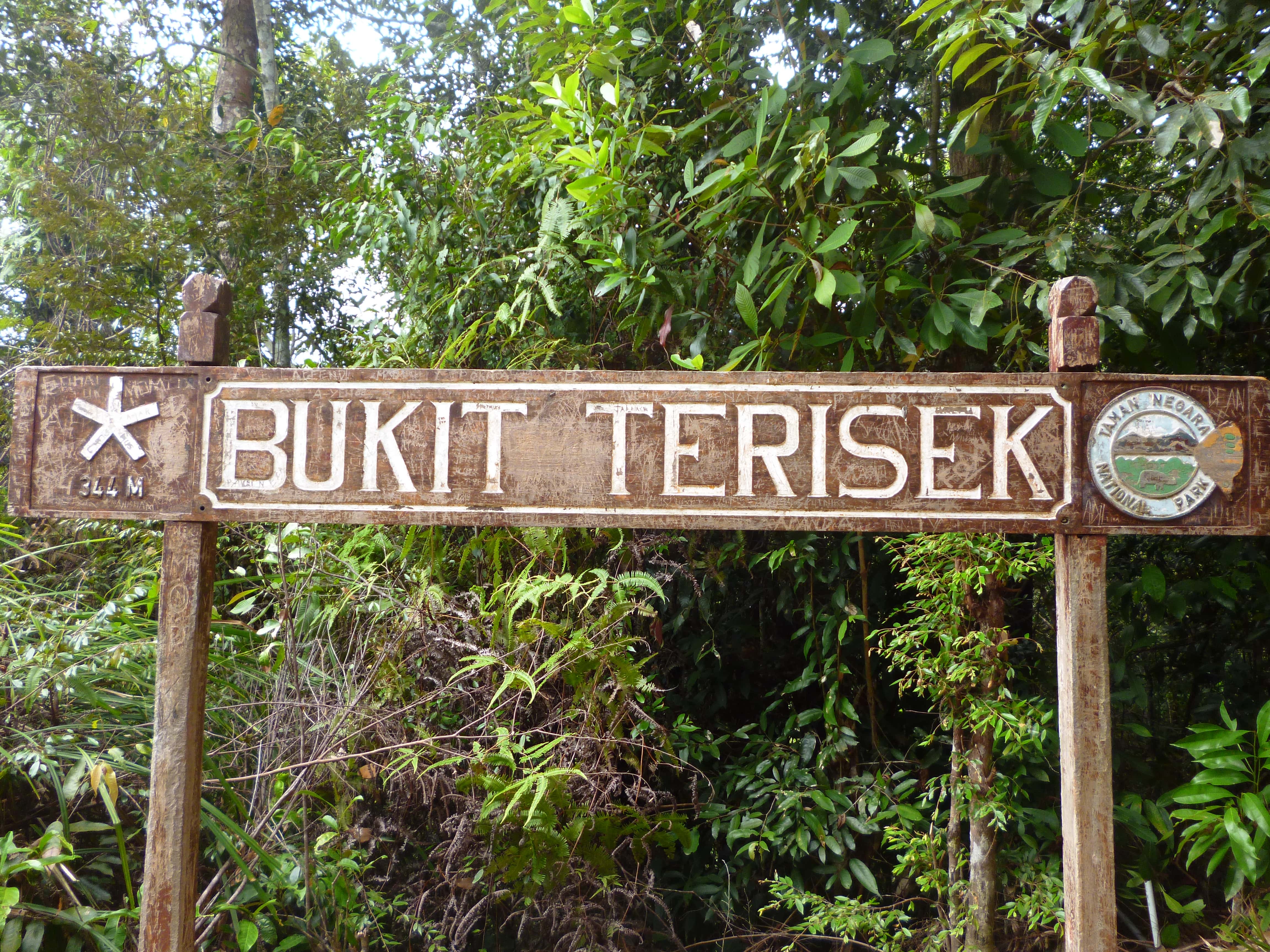 Bukit Terisek, Taman Negara, Malaisie