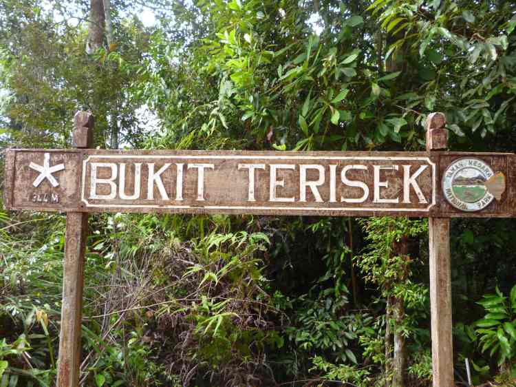 Bukit Terisek, Taman Negara, Malaisie