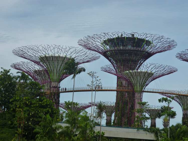 Tours des Gardens by the Bay, Singapour