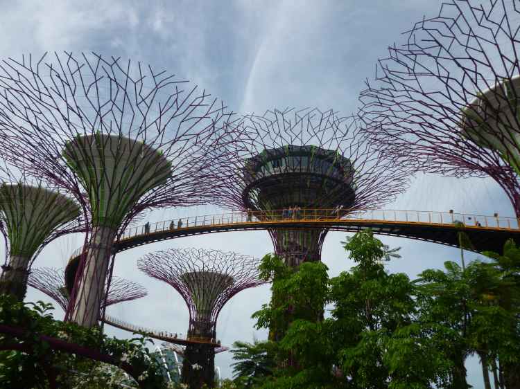 Towers of Gardens by the Bay, Singapour