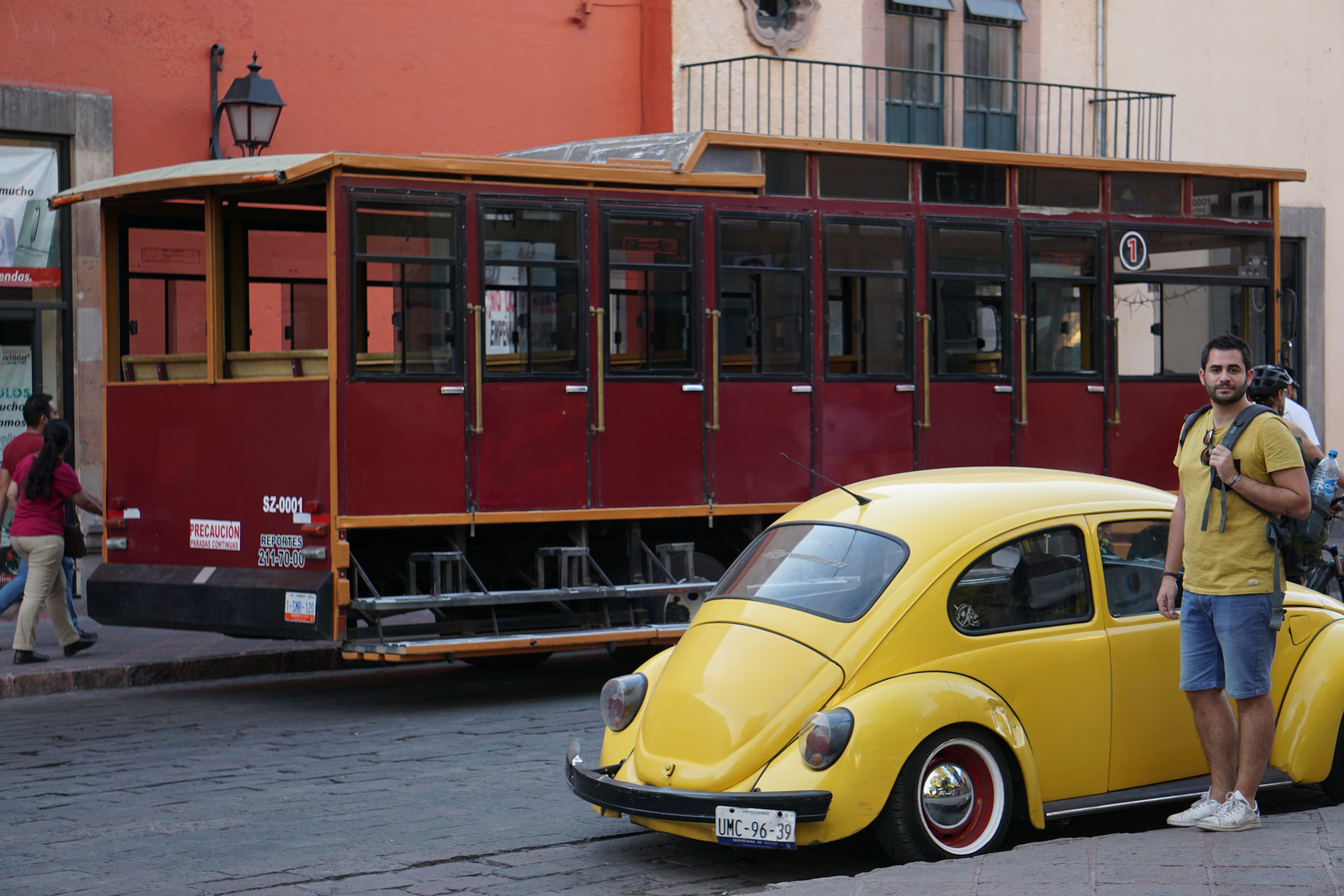 Coccinelle jaune, Querétaro, Mexique