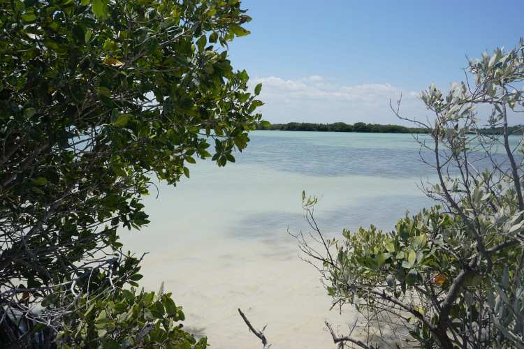 Lagune, Rio Lagartos, Mexique