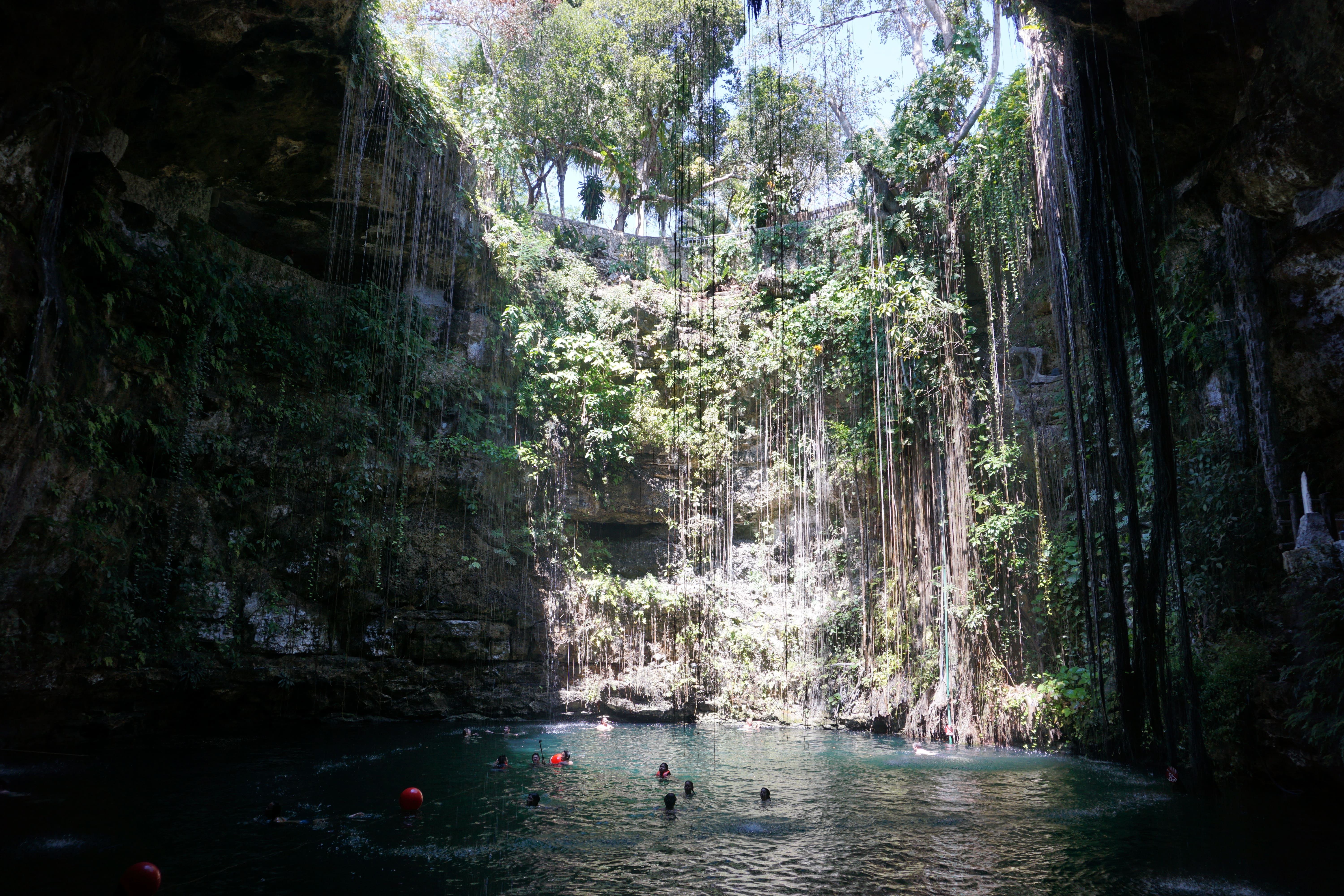 Intérieur du Cenote Ik Kil, Mexique