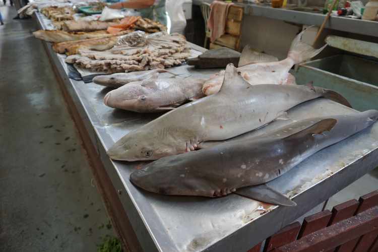 Stand de poissons au marché de Campeche, Mexique