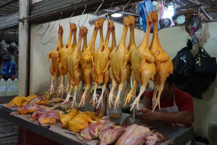 Stand de poulets au marché de Campeche, Mexique