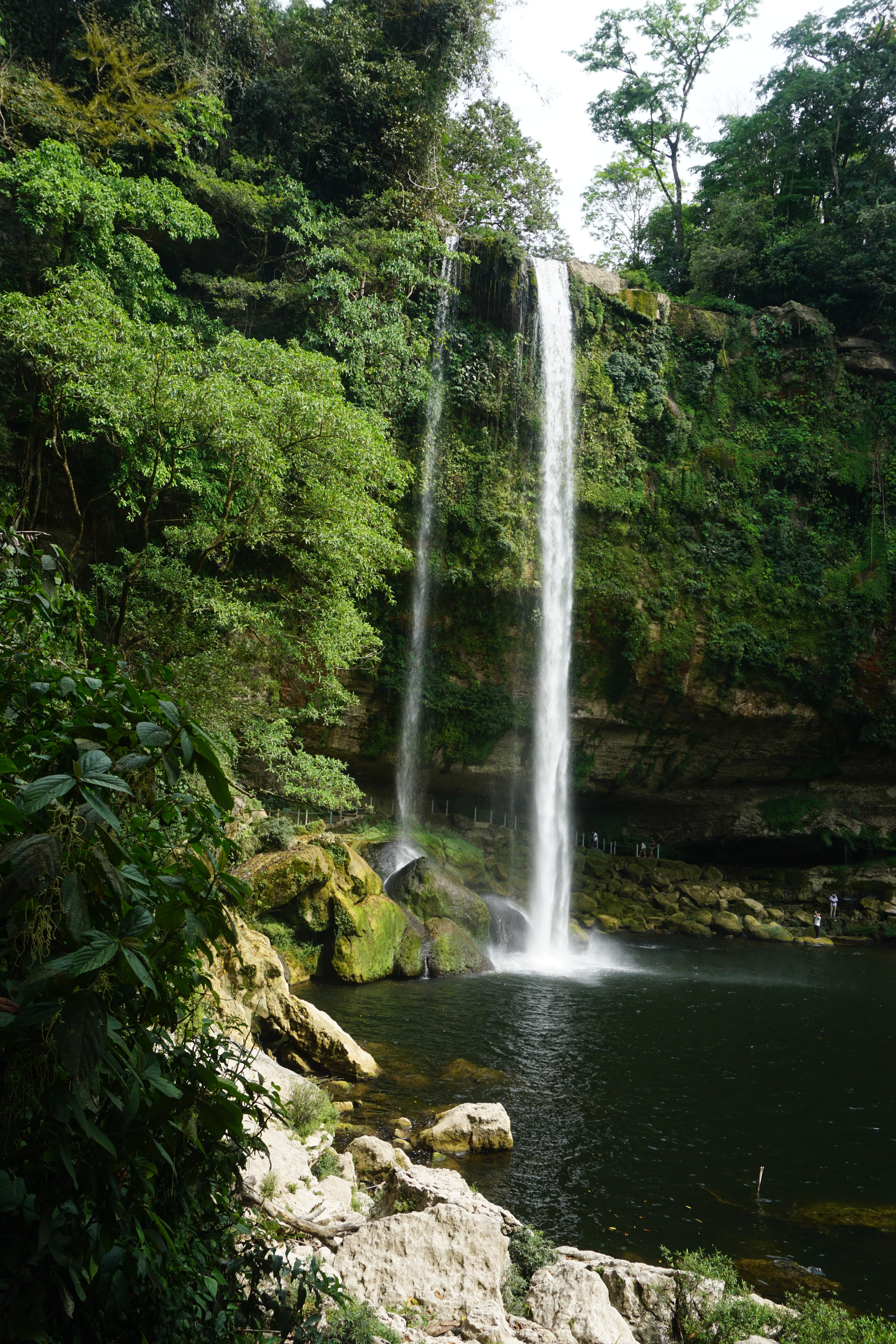 Cascade Misol-Ha, Mexique