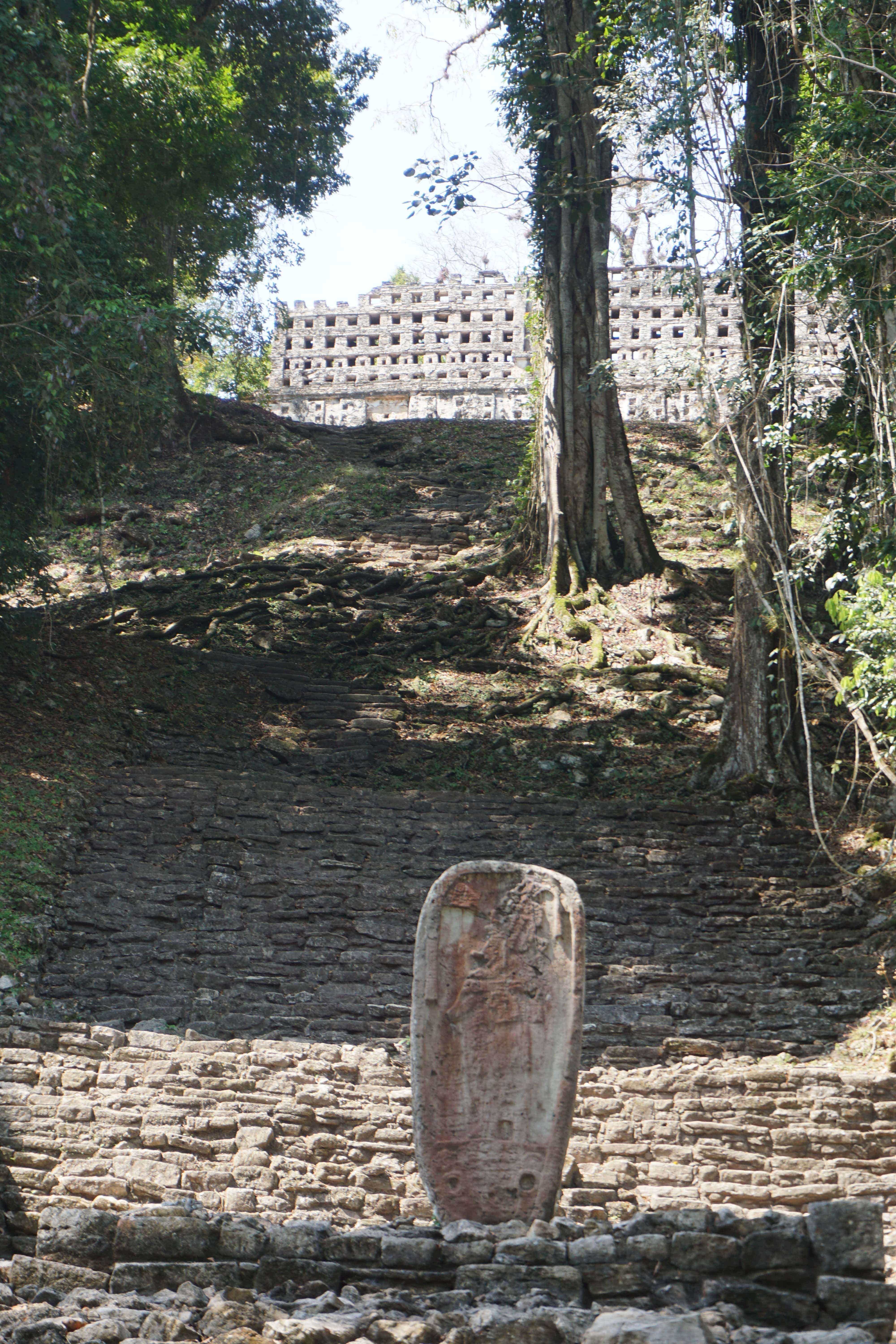 Escaliers, Yaxchilan, Mexique