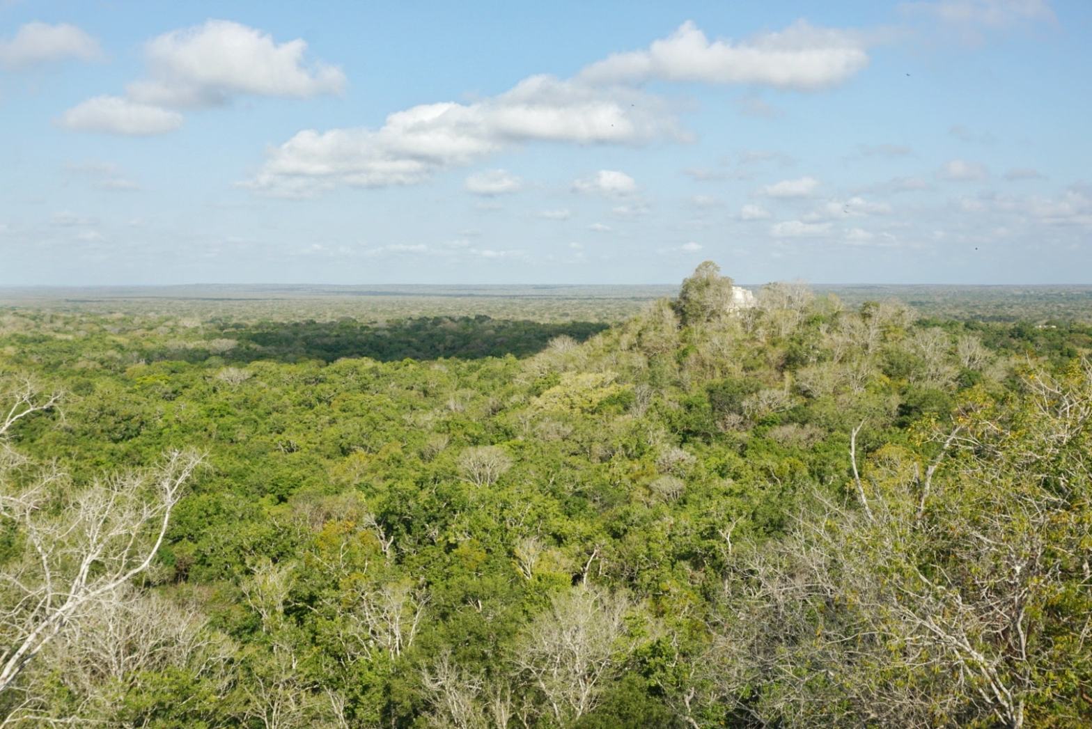 Visite du site archéologique de Calakmul, Mexique