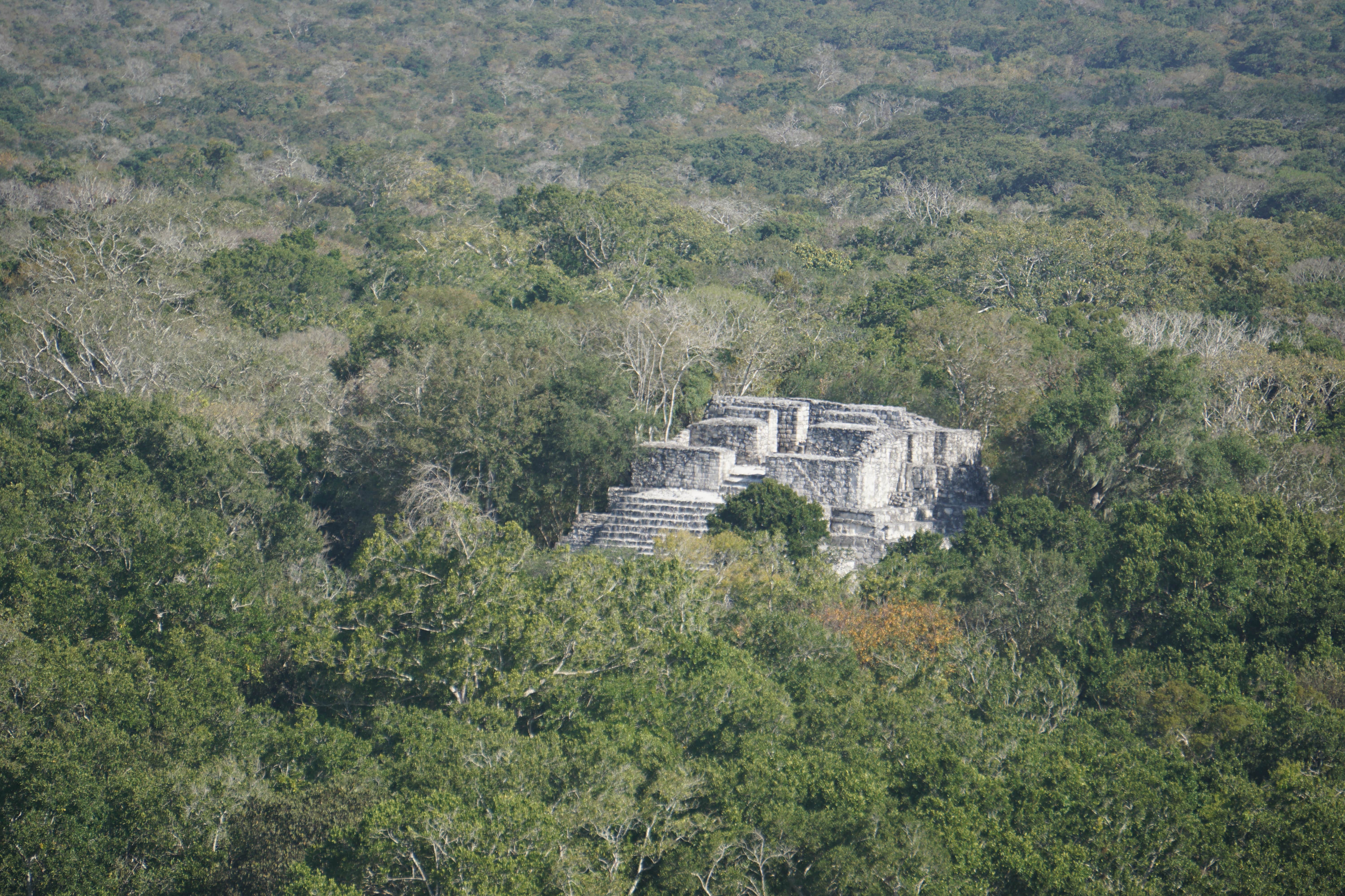 Point de vue, Calakmul, Mexique