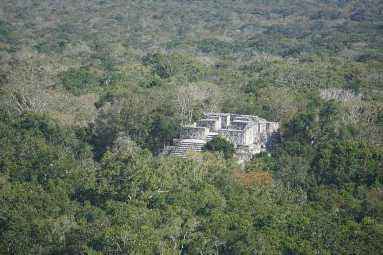 Point de vue, Calakmul, Mexique