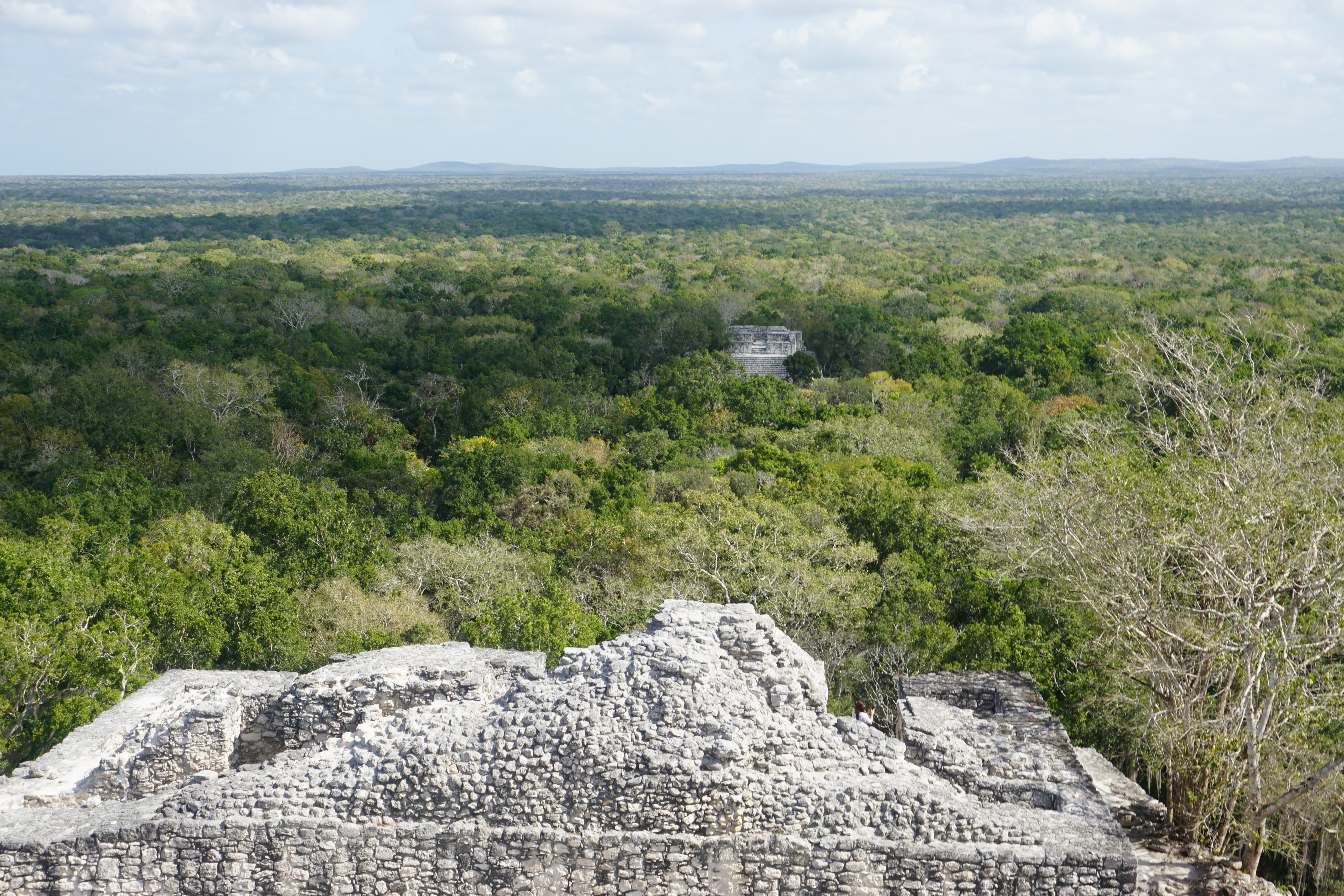Vue panoramique, Calakmul, Mexique