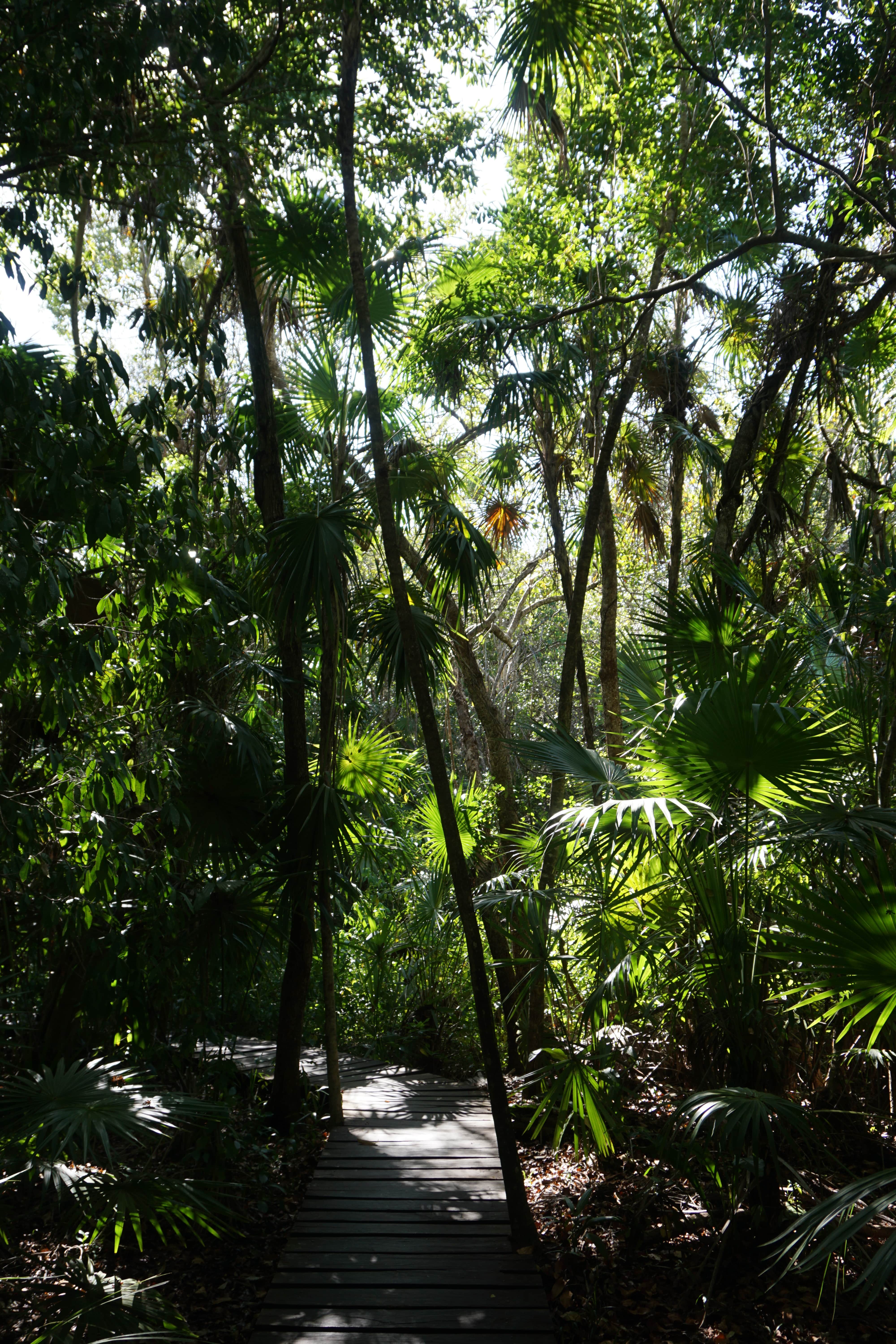 Biosphère de Sian Ka'an, Mexique