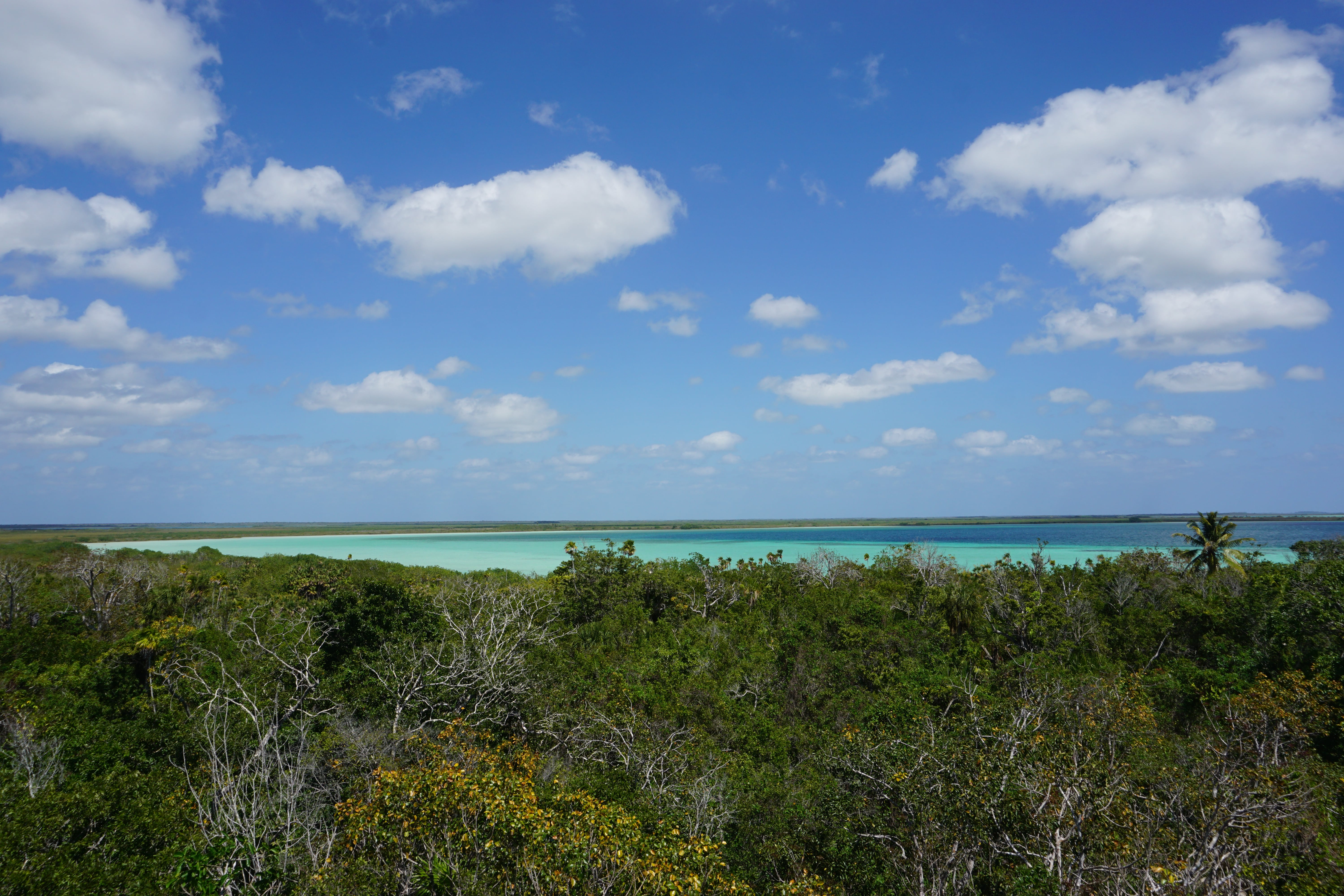 Point de vue, Sian Ka'an, Mexique