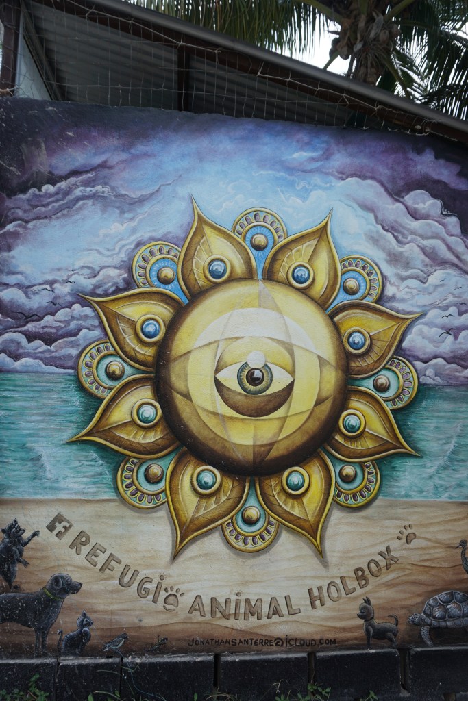 Refuge pour animaux, Holbox, Mexique