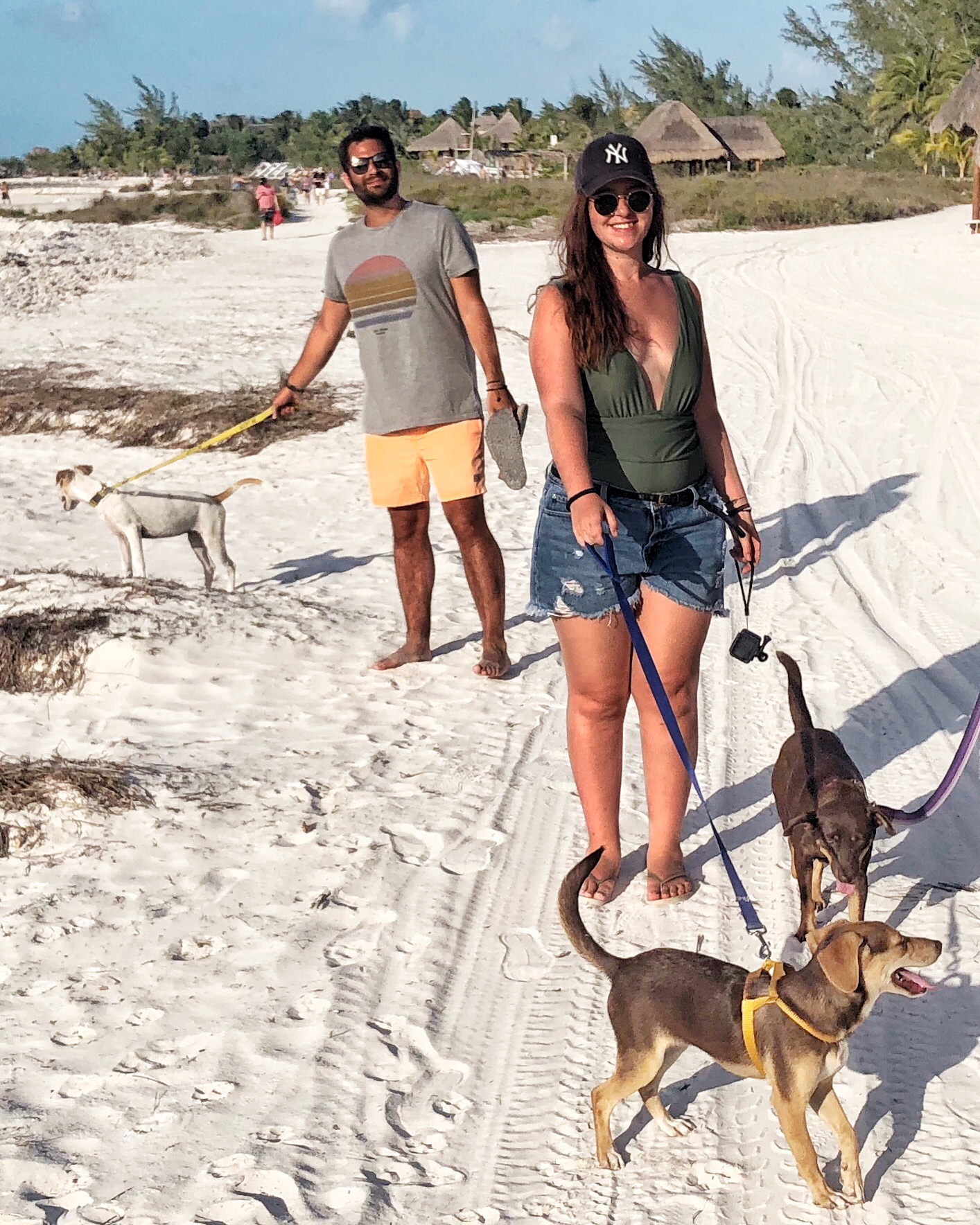 Promenade chiens, Holbox, Mexique