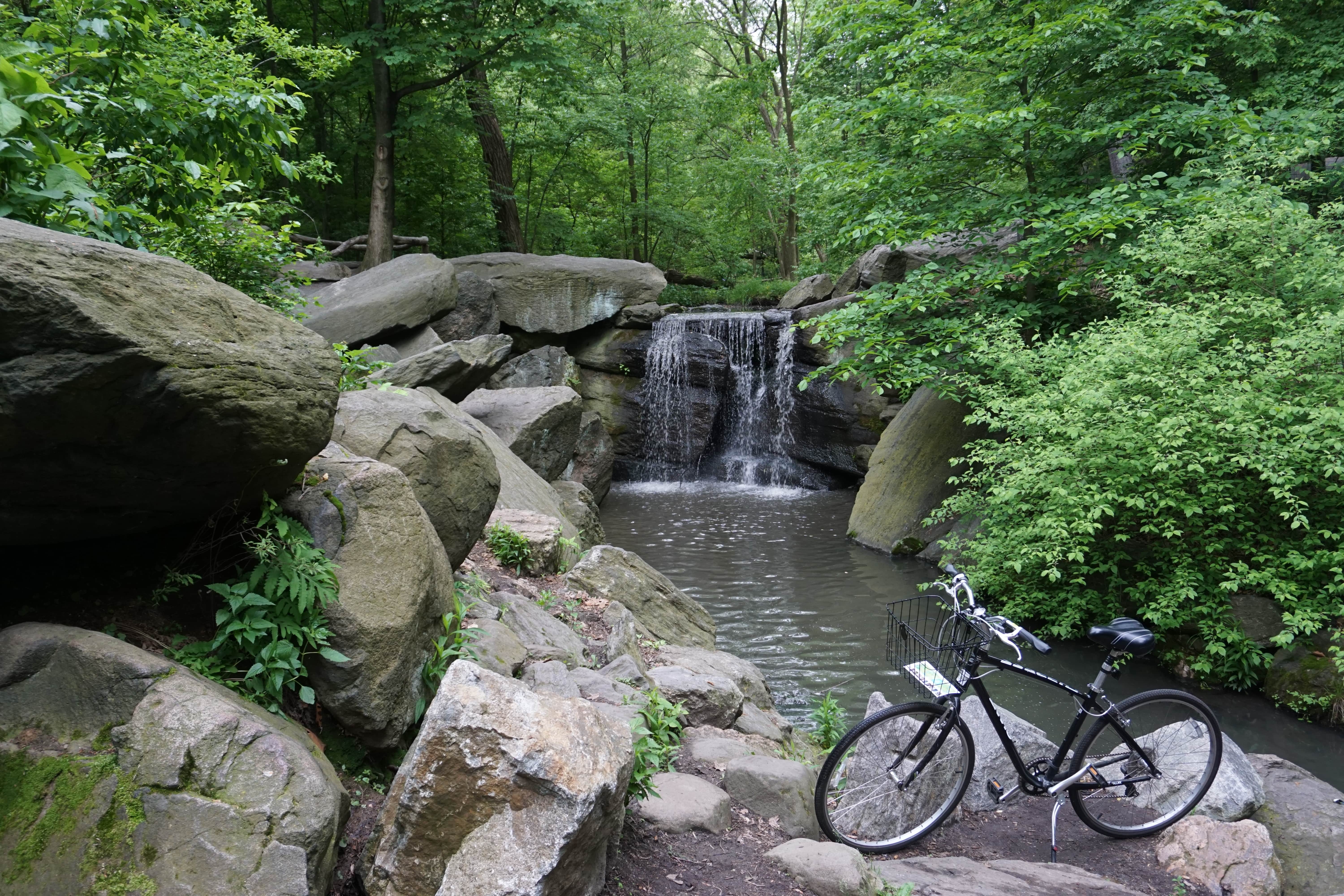 Bike, Central Park, New York