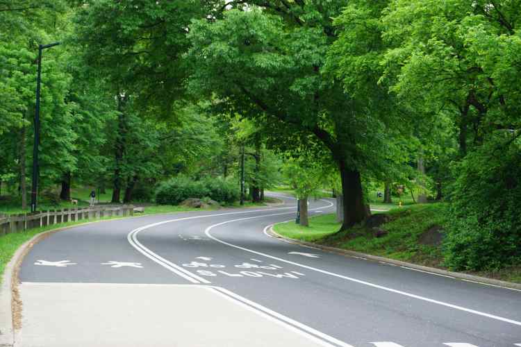 Central Park, New York