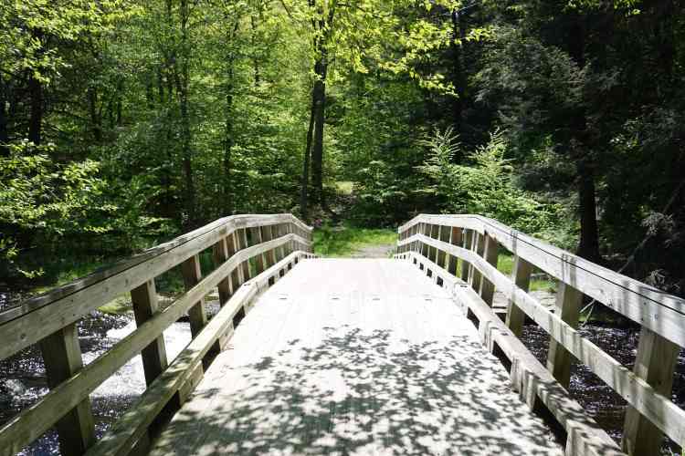 Bridge Little Falls trail, Pocono Mountain, Pennsylvanie